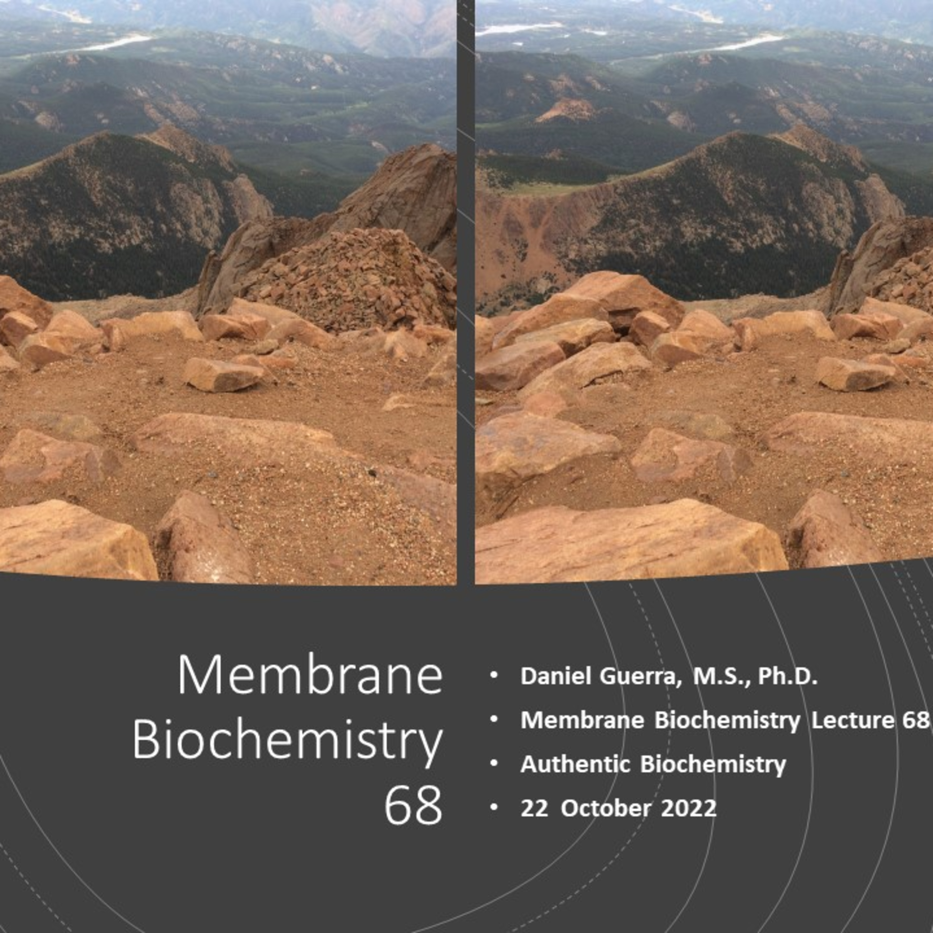 Membrane Biochemistry 68. Elevatum Hypostasis. Dr Daniel J. Guerra. 22.10.22b Authentic Biochemistry