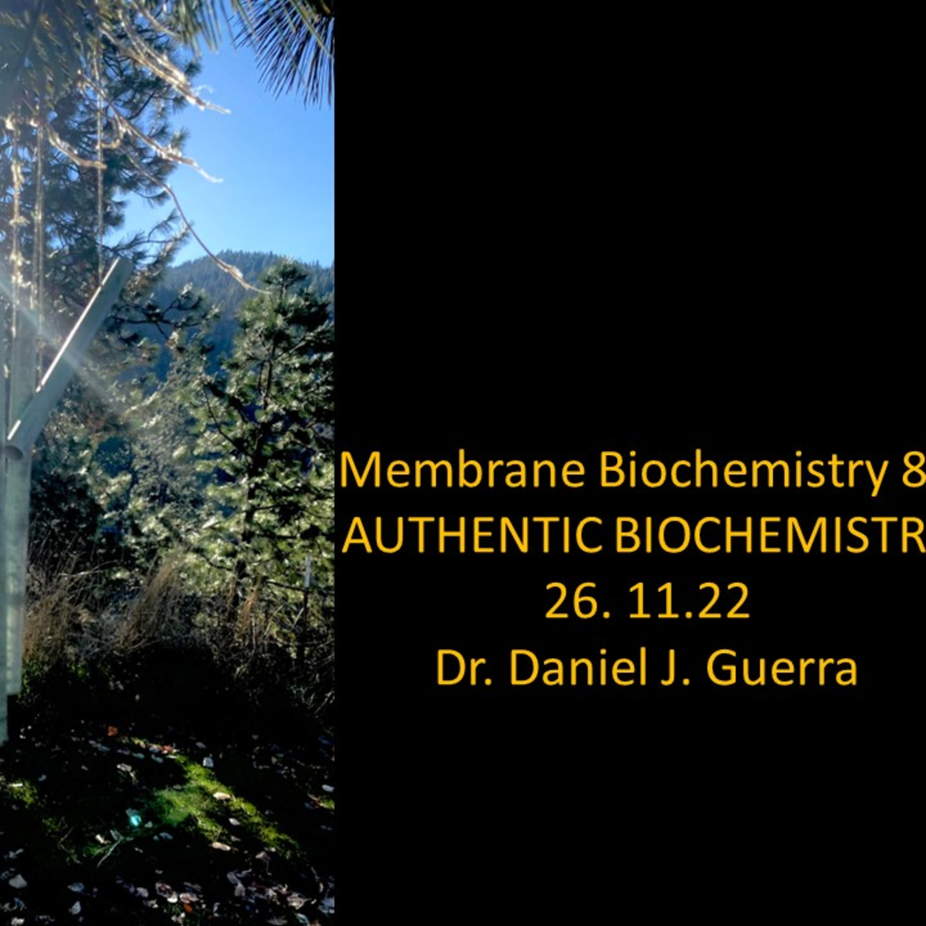 Membrane Biochemistry 83. Countercurrent distribution theory of membrane lipid raft mediated endomebranous sequence ontology. DJGPhD.26.11.22 episode artwork
