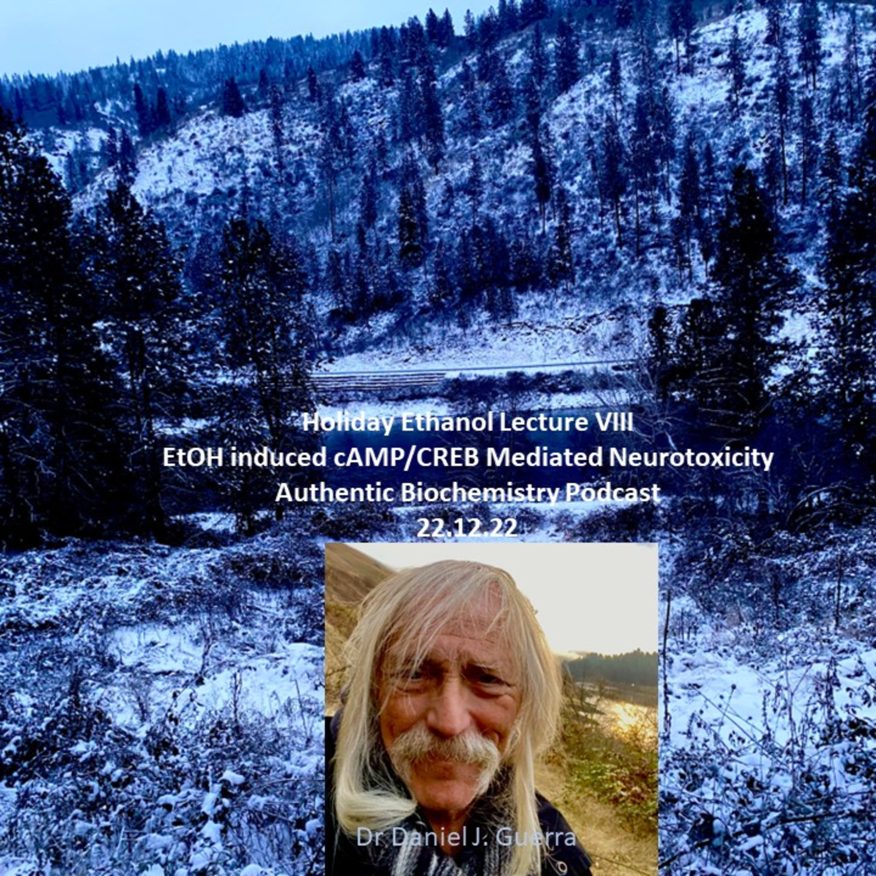 Holiday Ethanol Use VIII. EtOH induced cAMP /CREB associated PKA kinase driven phosphorylation cascade co-opts the TLR4-mediated neuroinflammatory/neurotoxic CNS-microglial axis.DJGPhD.22.12.22.AB.