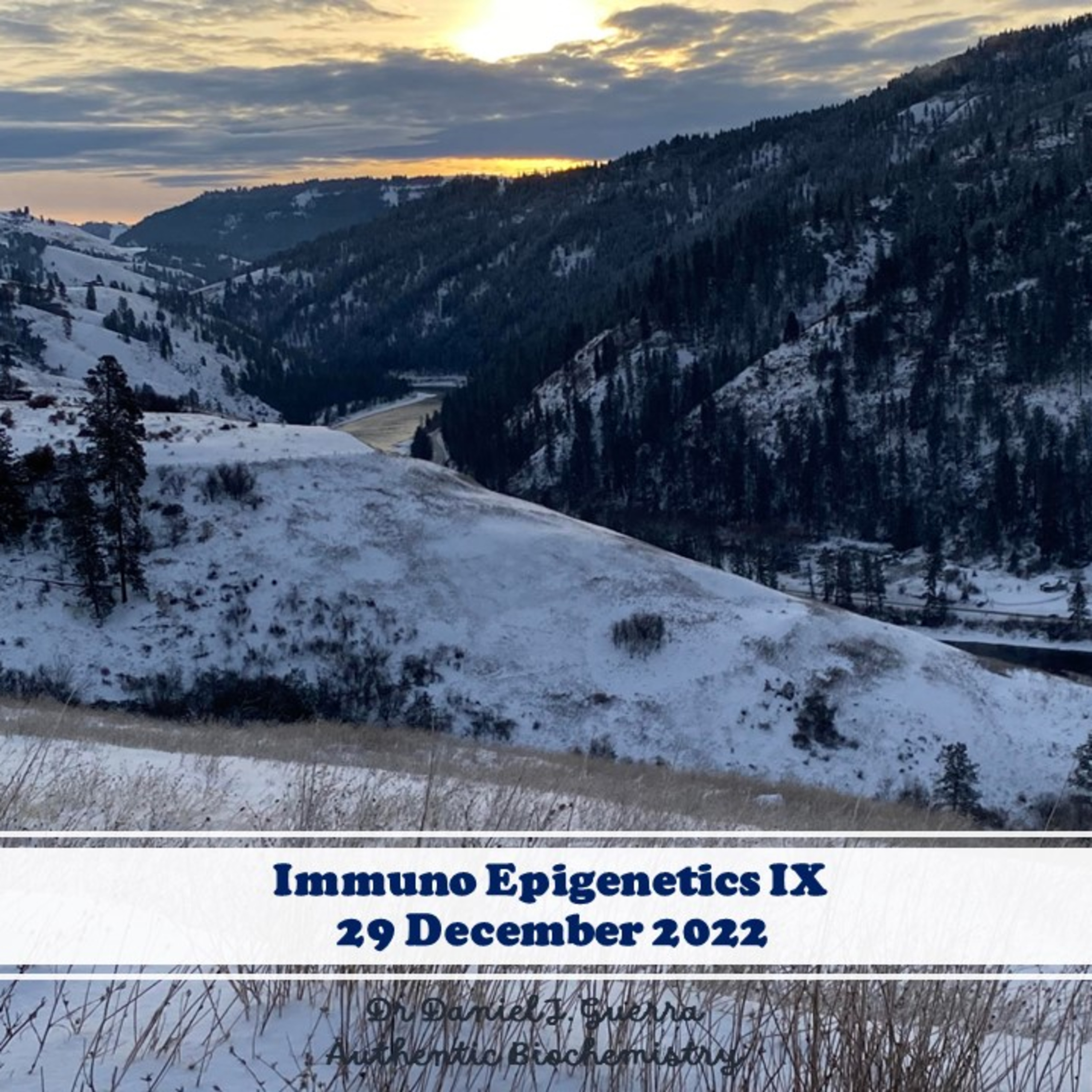 ImmunoEpigeneticsIX. Promoter/Enhancer proximal and distal epigenetic signatures and transcription factor protein heterogeneity compose gene expression event ontology.DJGPhD.29.12.22.AuthenticBiochem