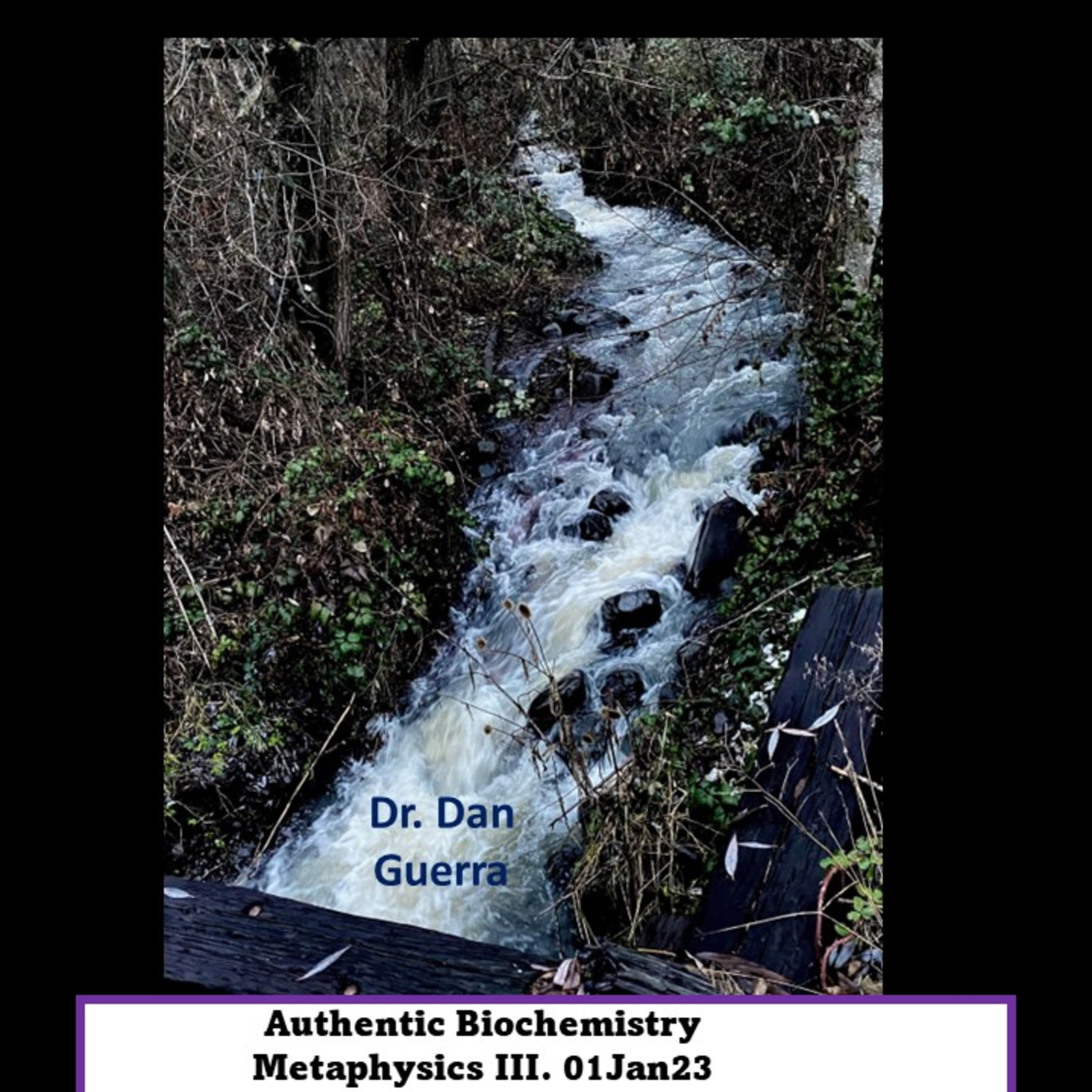 Epistemological integration into realized metaphysics III. Mensam de phaenomenus and the concept of evidentiary existentialism in research science. DJGPhD.01Jan23.Authentic Biochemistry.