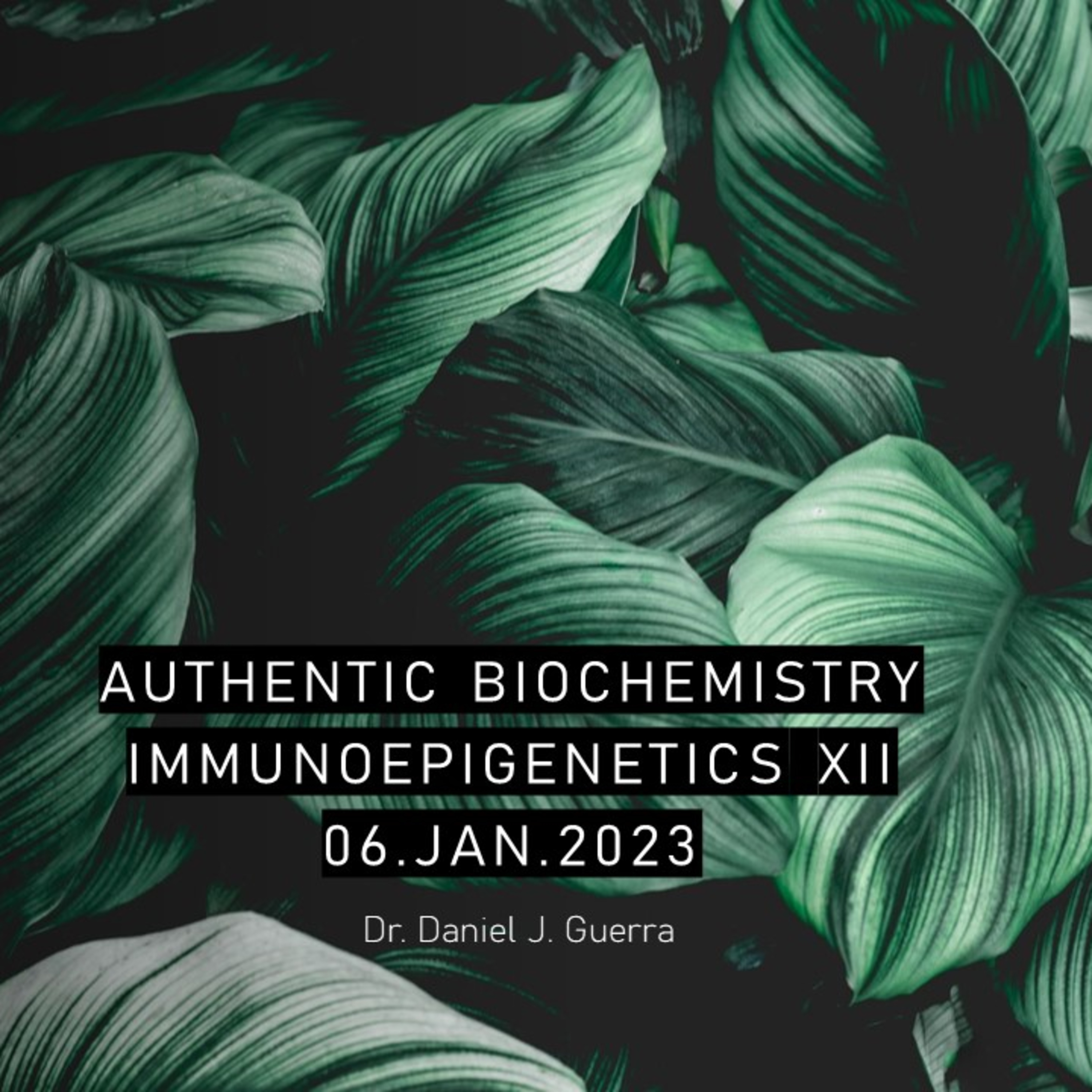 ImmunoepigeneticsXII. Osteo-Arthritis 1. Clinical manifestation and the role of TGF-Beta. DR. Daniel J. Guerra. 06Jan2023. Authentic Biochemistry Podcast Productions