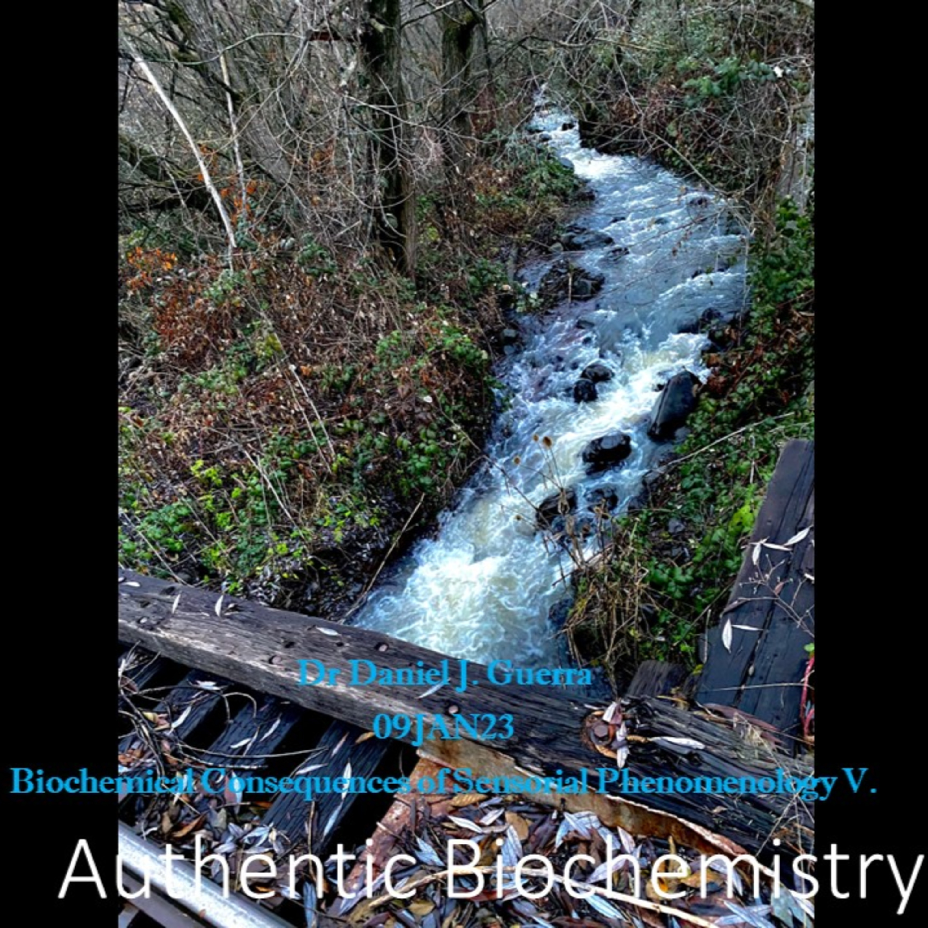Biochemical Consequences of Sensorial Phenomenology V. The possibility of Necessary biological modality . DJGPhD. 09Jan23. Authentic Biochemistry.