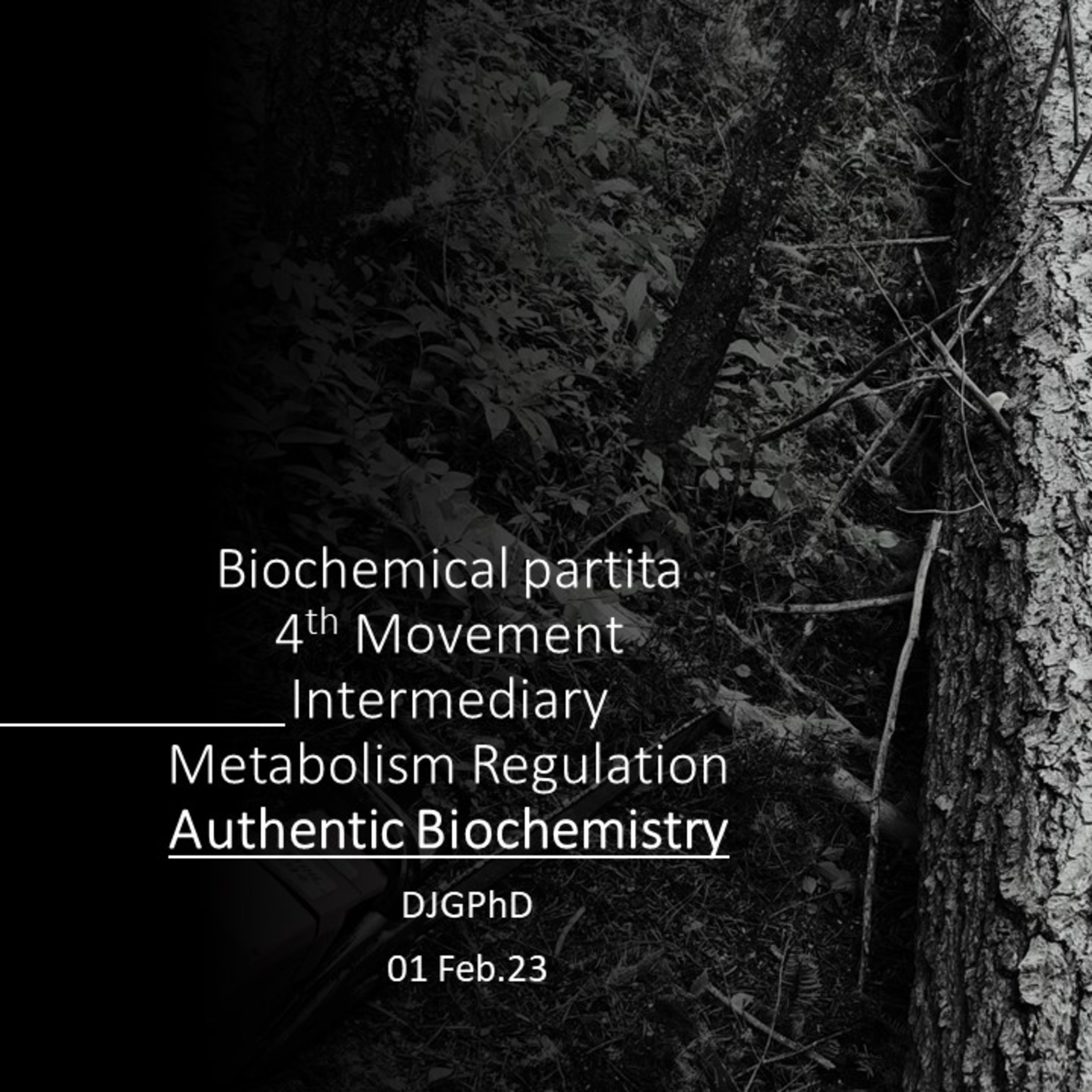 A Biochemical Partita 4th Movement.Regulation of gluconeogenesis vs. glycolysis and the fatty acyl CoA beta-oxidation pathway provide REDOX and allosteric control over bioenergetics. DJGPhD.01FEB23.