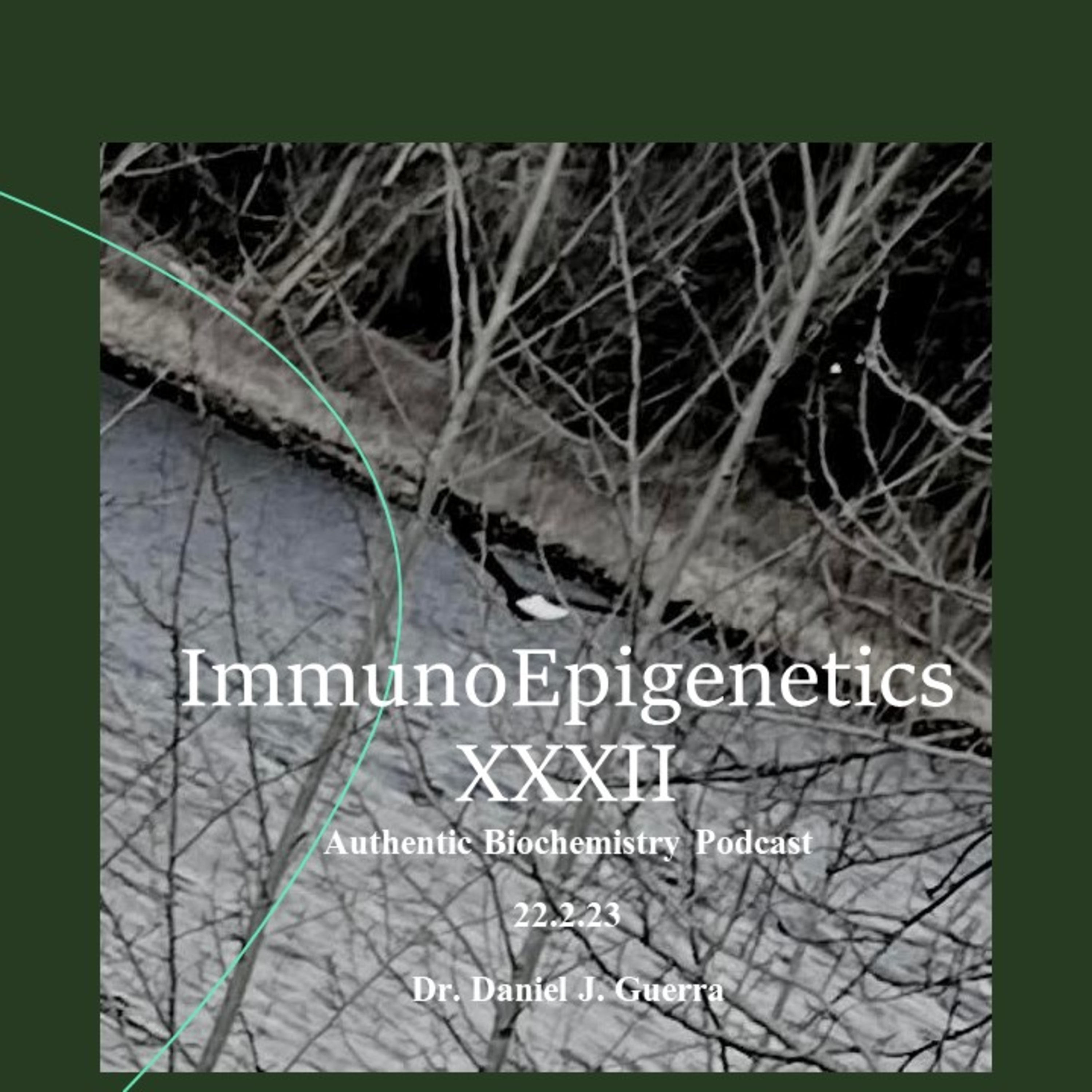 ImmunoEpigeneticsXXXII. Apriori synthesis of the glycolytic/TCA/ETC axis mediating target and endogenous apoptotic control with Th and NK cell activation/proliferation and effector function. DJGPhD.