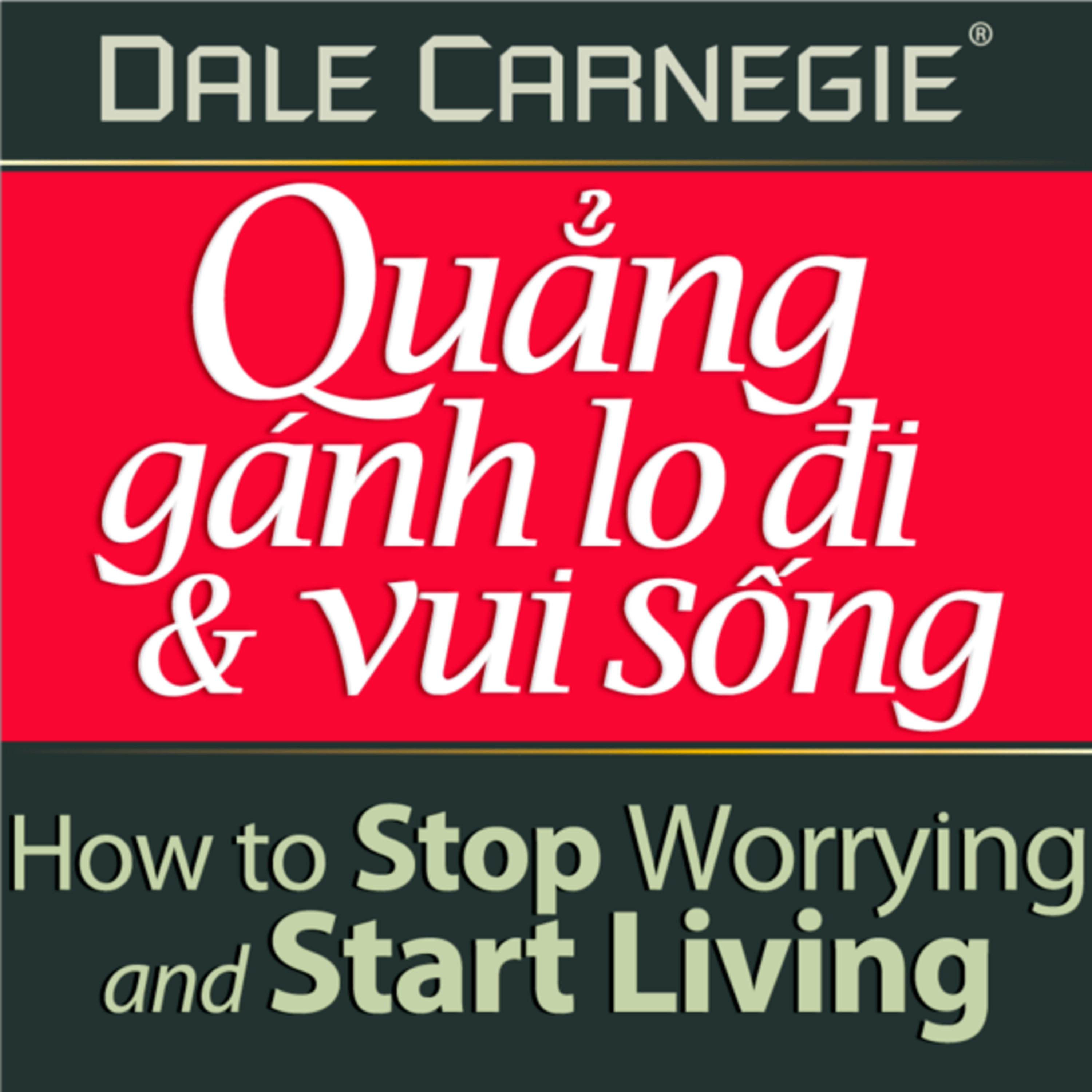 Quẳng Gánh Lo Đi Và Vui Sống - Dale Carnegie - Nghe trọn bộ Sách nói tại Voiz FM (voiz.vn/download) episode artwork