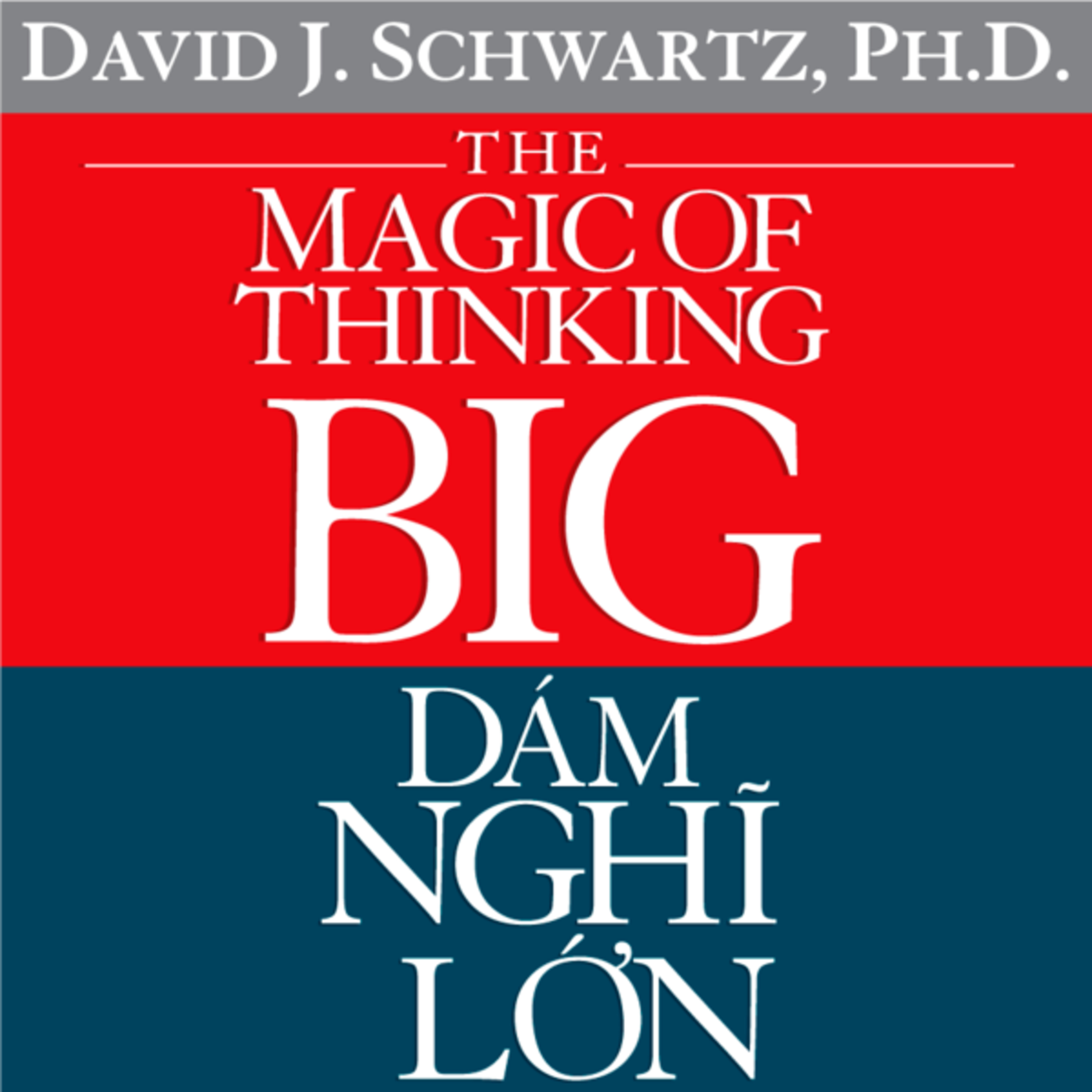 Dám Nghĩ Lớn! - David Schwartz - Nghe trọn bộ Sách nói tại Voiz FM (voiz.vn/download) episode artwork