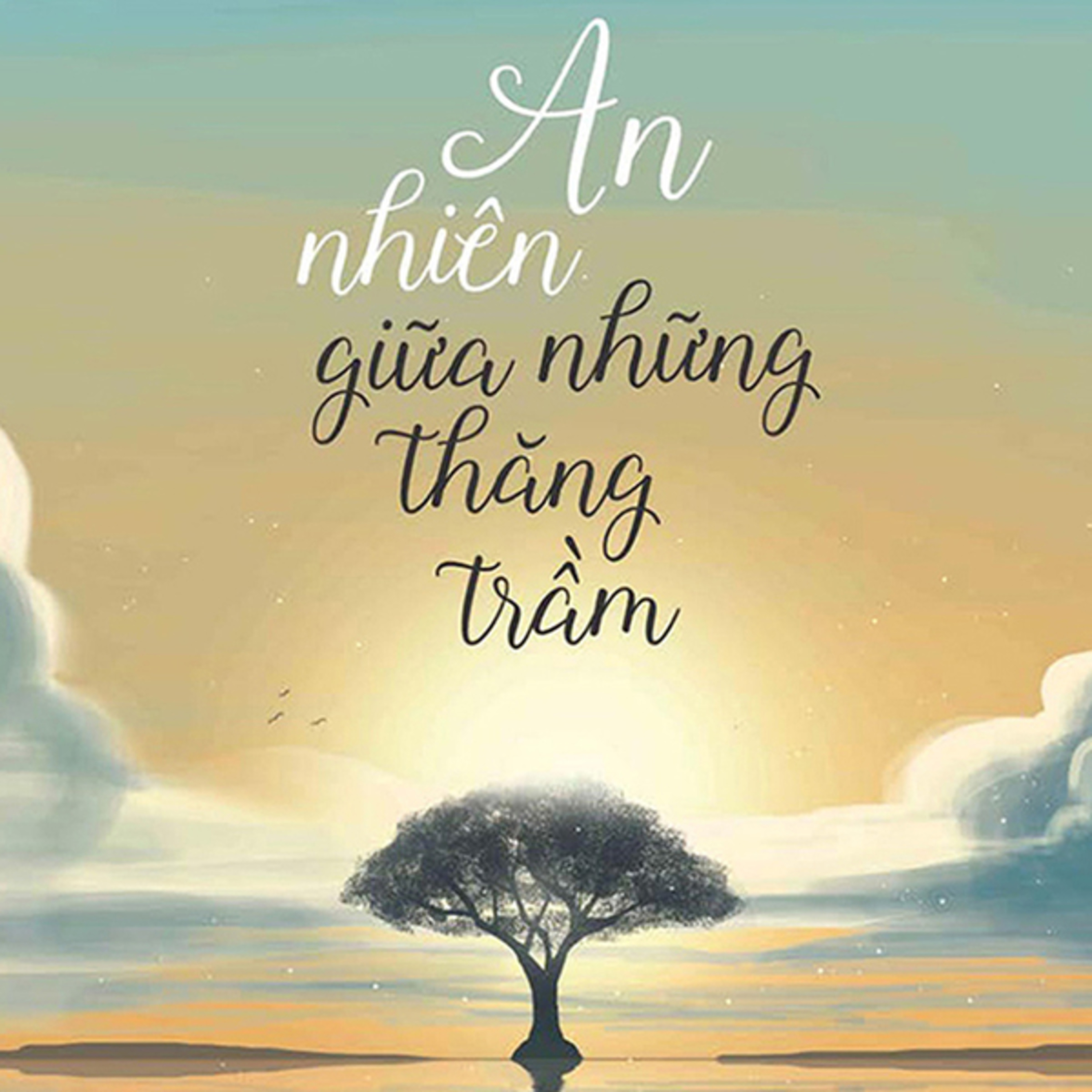 An Nhiên Giữa Những Thăng Trầm - Như Nhiên Thích Tánh Tuệ - Nghe trọn bộ Sách nói tại Voiz FM (voiz.vn/download) episode artwork