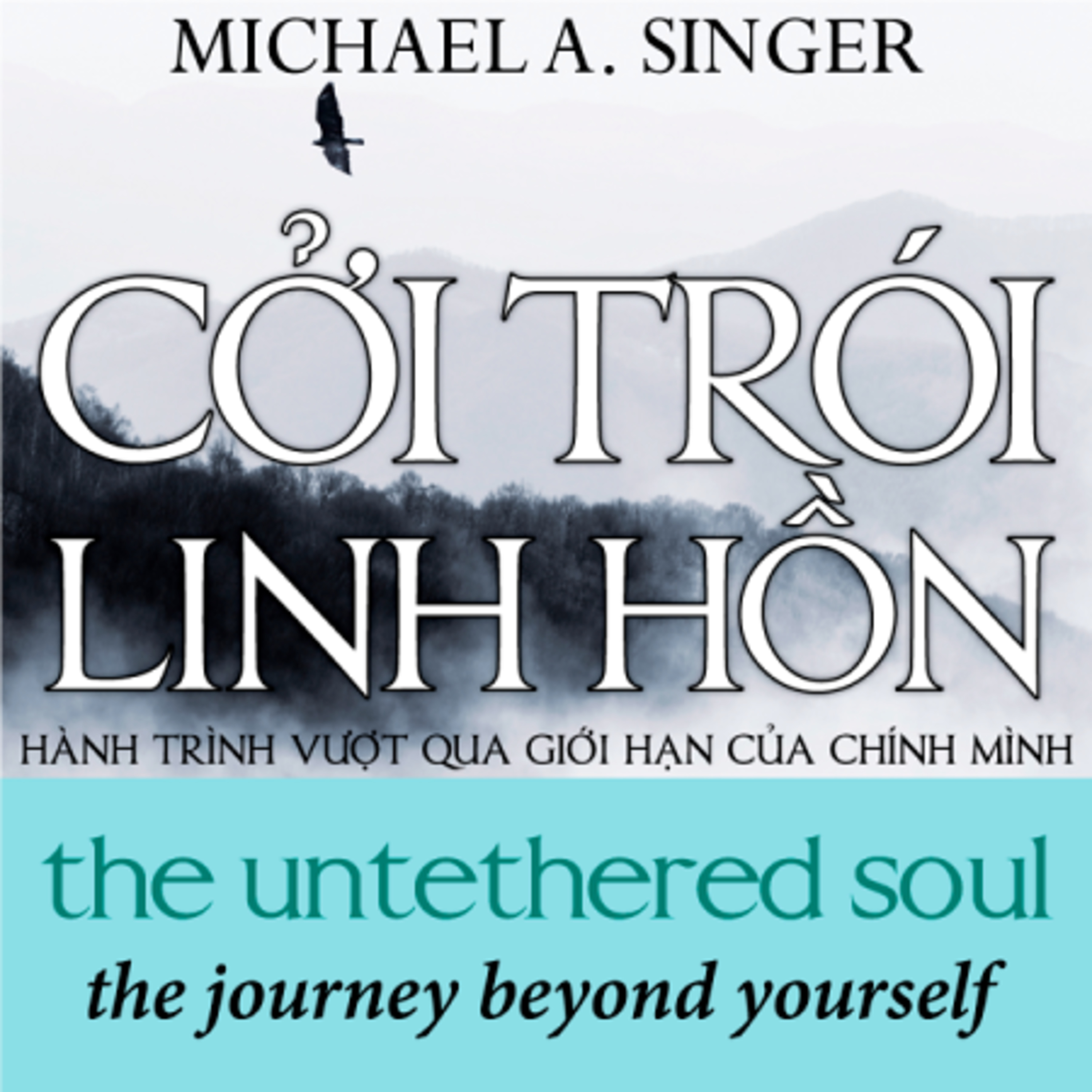 Cởi trói linh hồn - Michael A. Singer - Nghe trọn bộ Sách nói tại Voiz FM (voiz.vn/download) episode artwork