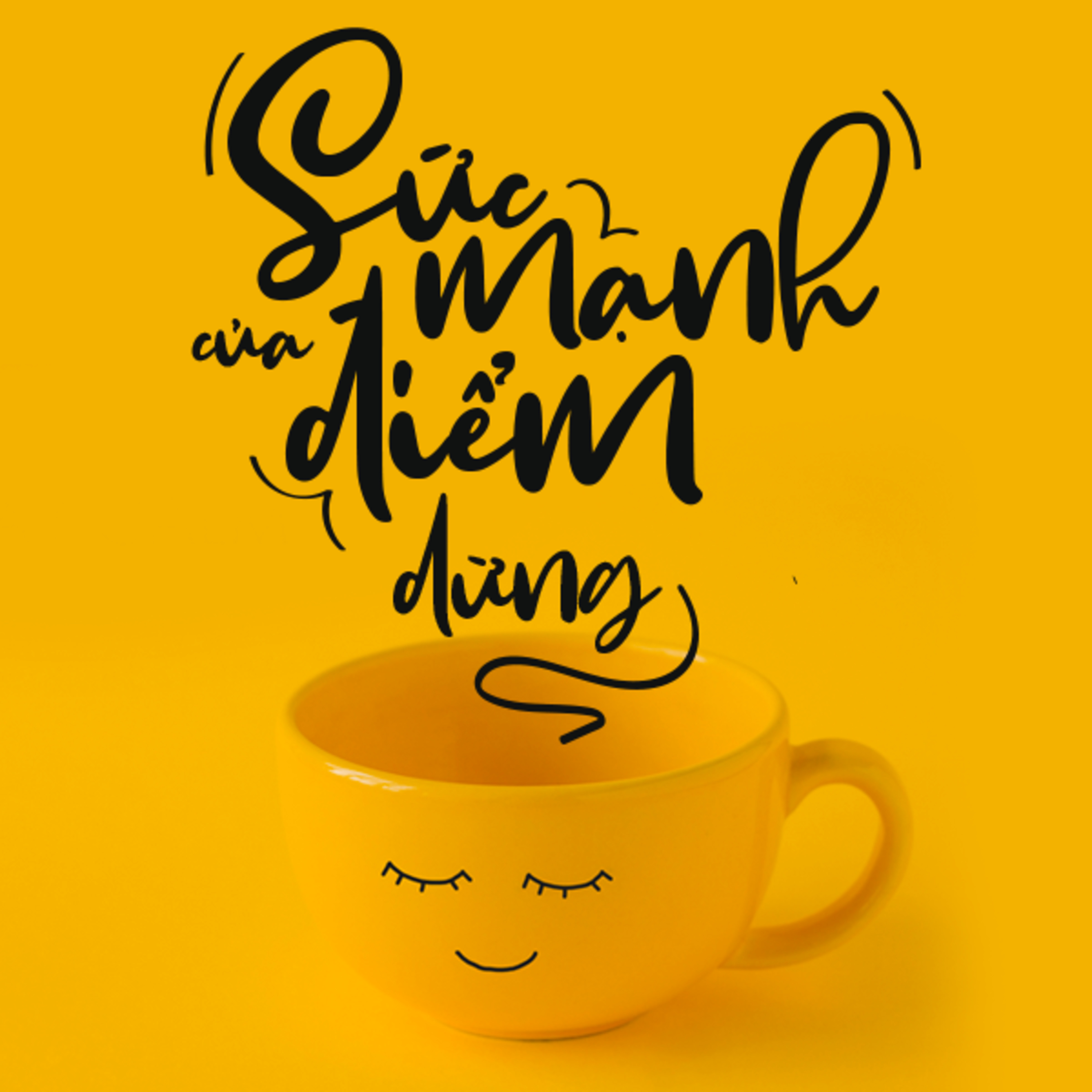 Sách nói Sức Mạnh Của Điểm Dừng - Terry Hershey - Nghe trọn bộ Sách nói tại Voiz FM (voiz.vn/download)