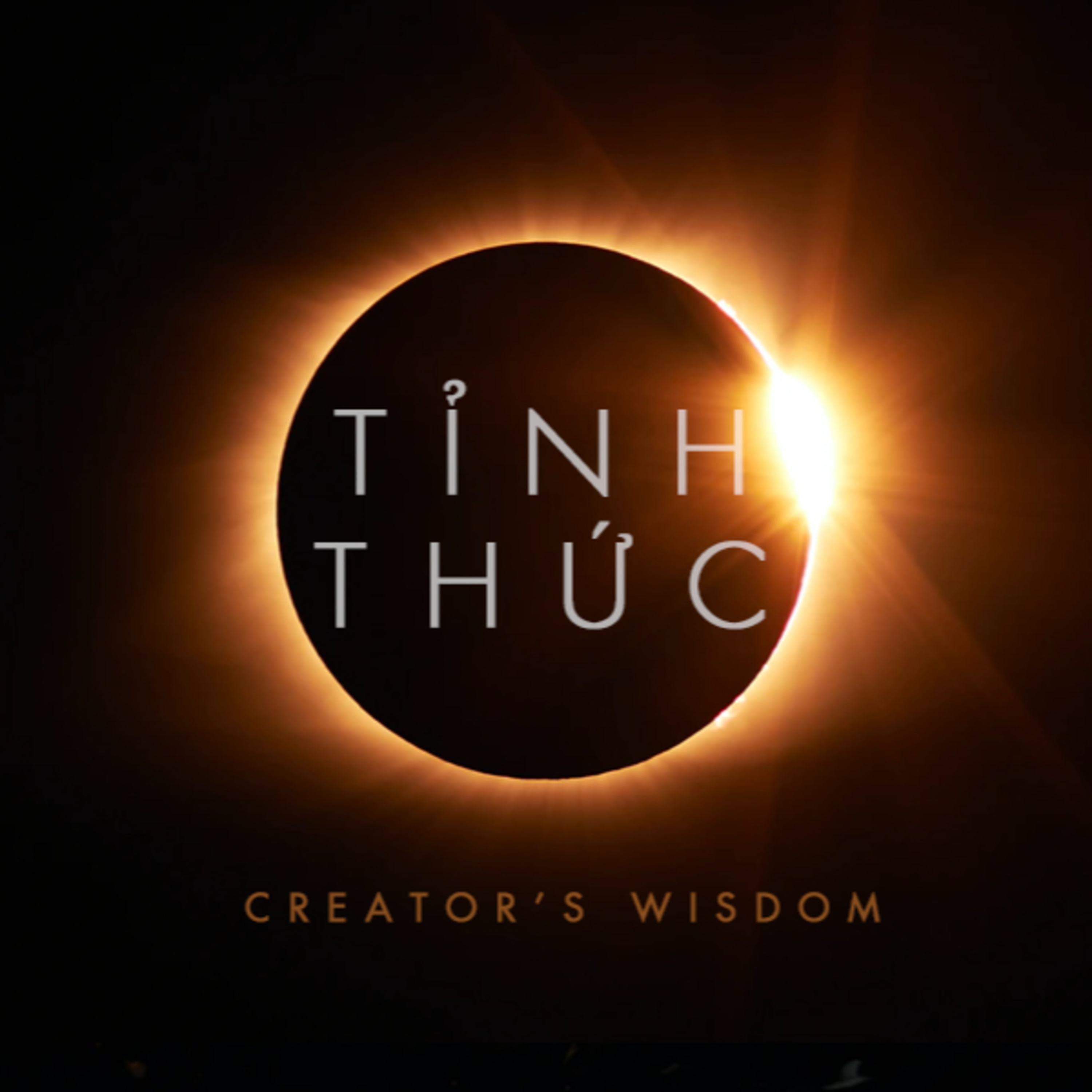 Sách nói Tỉnh Thức - Dr. Prashant Kakode - Nghe trọn bộ Sách nói tại Voiz FM (voiz.vn/download)