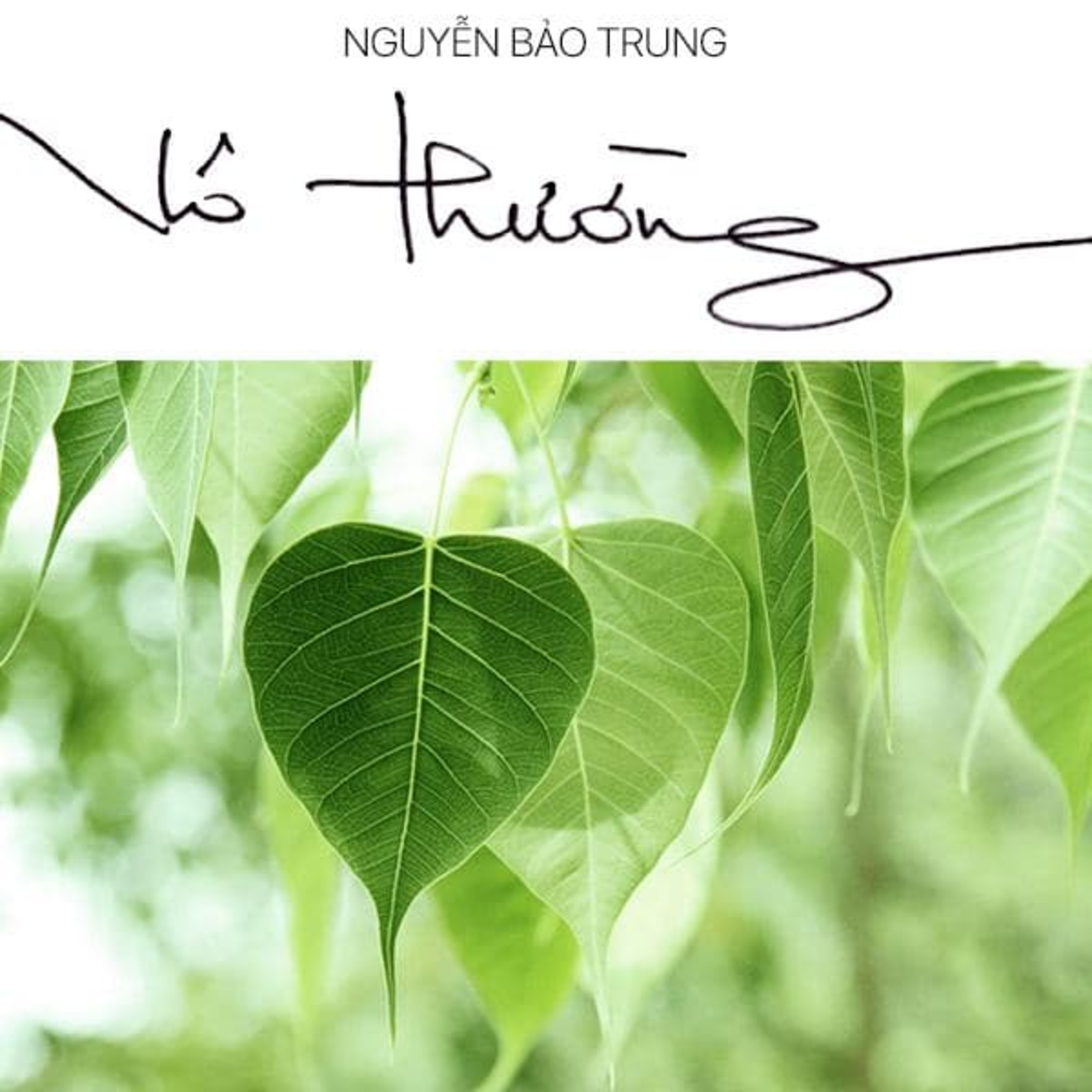Sách nói Vô Thường - Nguyễn Bảo Trung - Nghe trọn bộ Sách nói tại Voiz FM (voiz.vn/download)