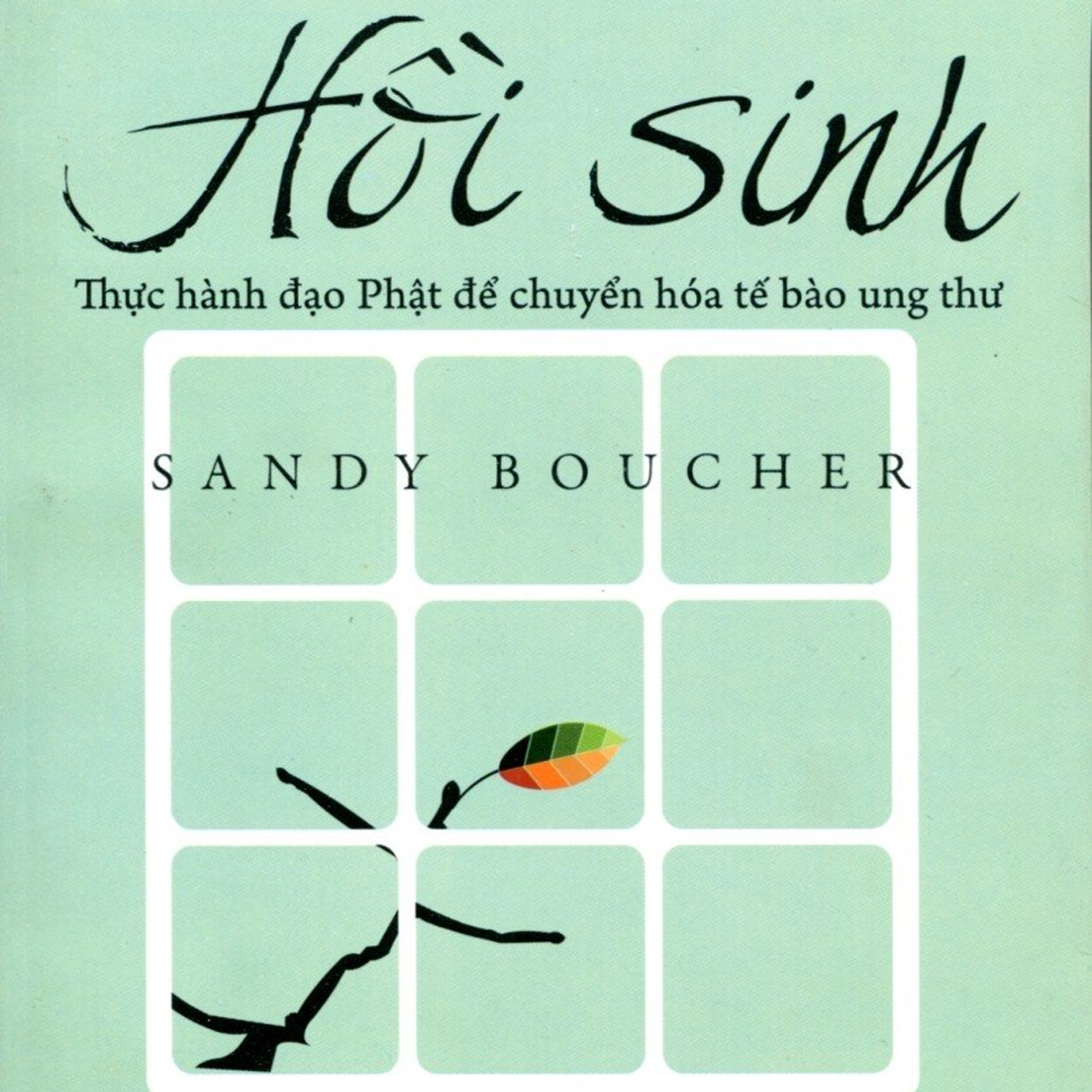 Sách nói Hồi Sinh - Thực Hành Đạo Phật Để Chuyển Hóa TB Ung Thư - Sandy Boucher - Nghe trọn bộ Sách nói tại Voiz FM (voiz.vn/download)