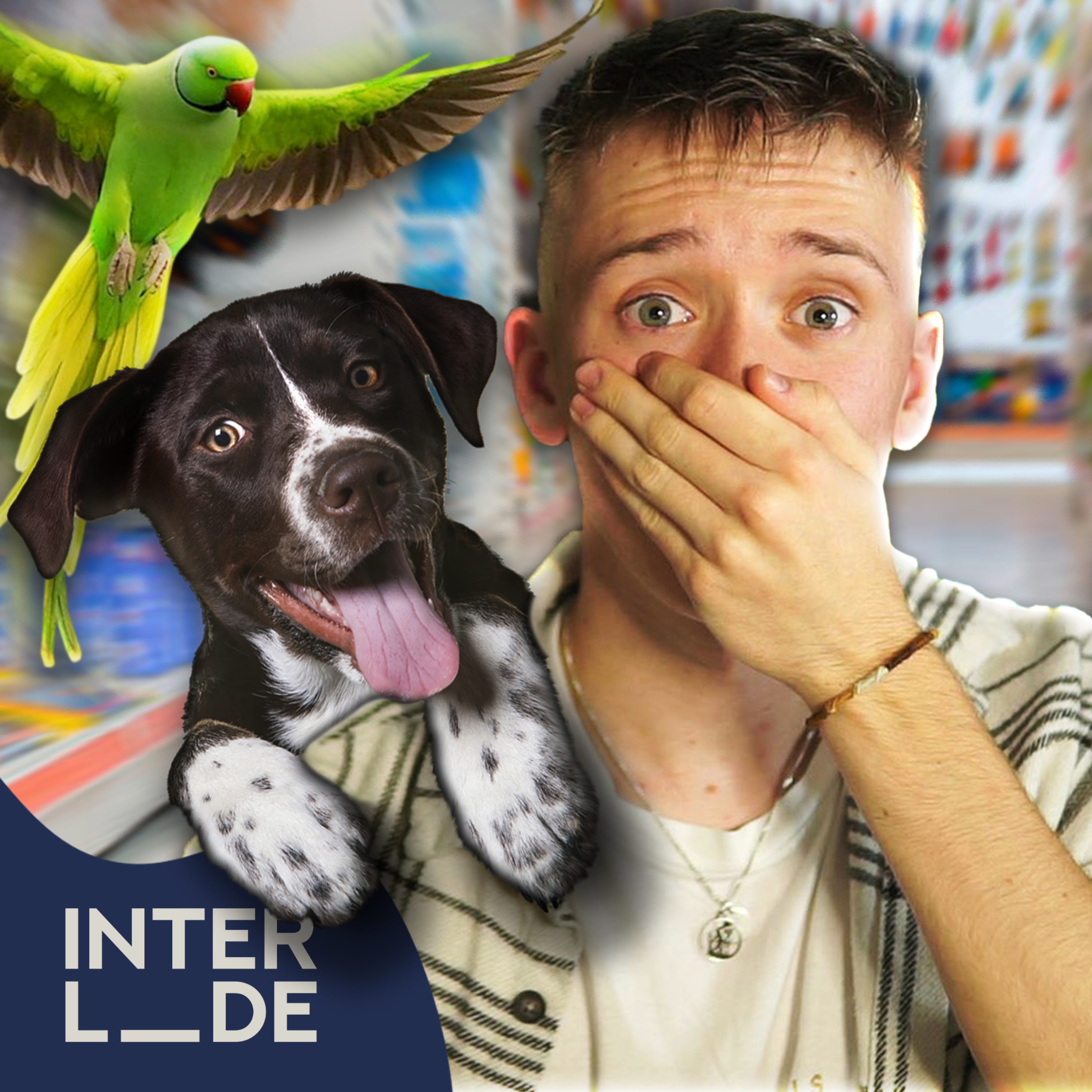 The Interlude