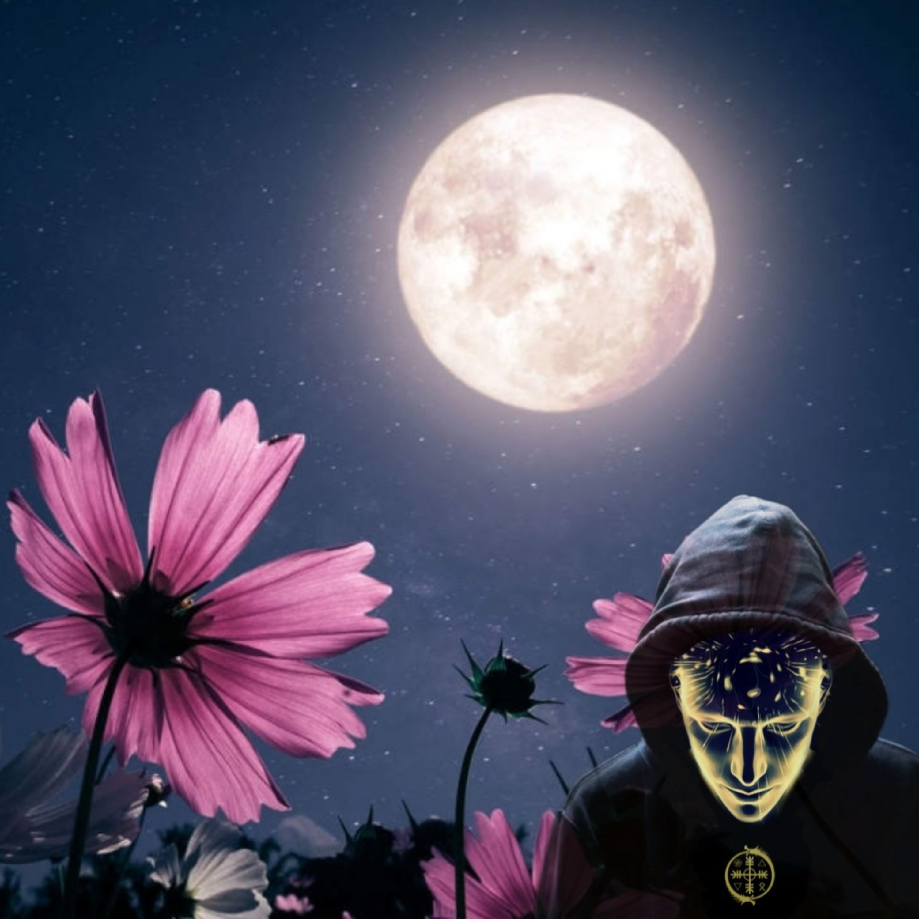 Portada de Caminante del Misterio