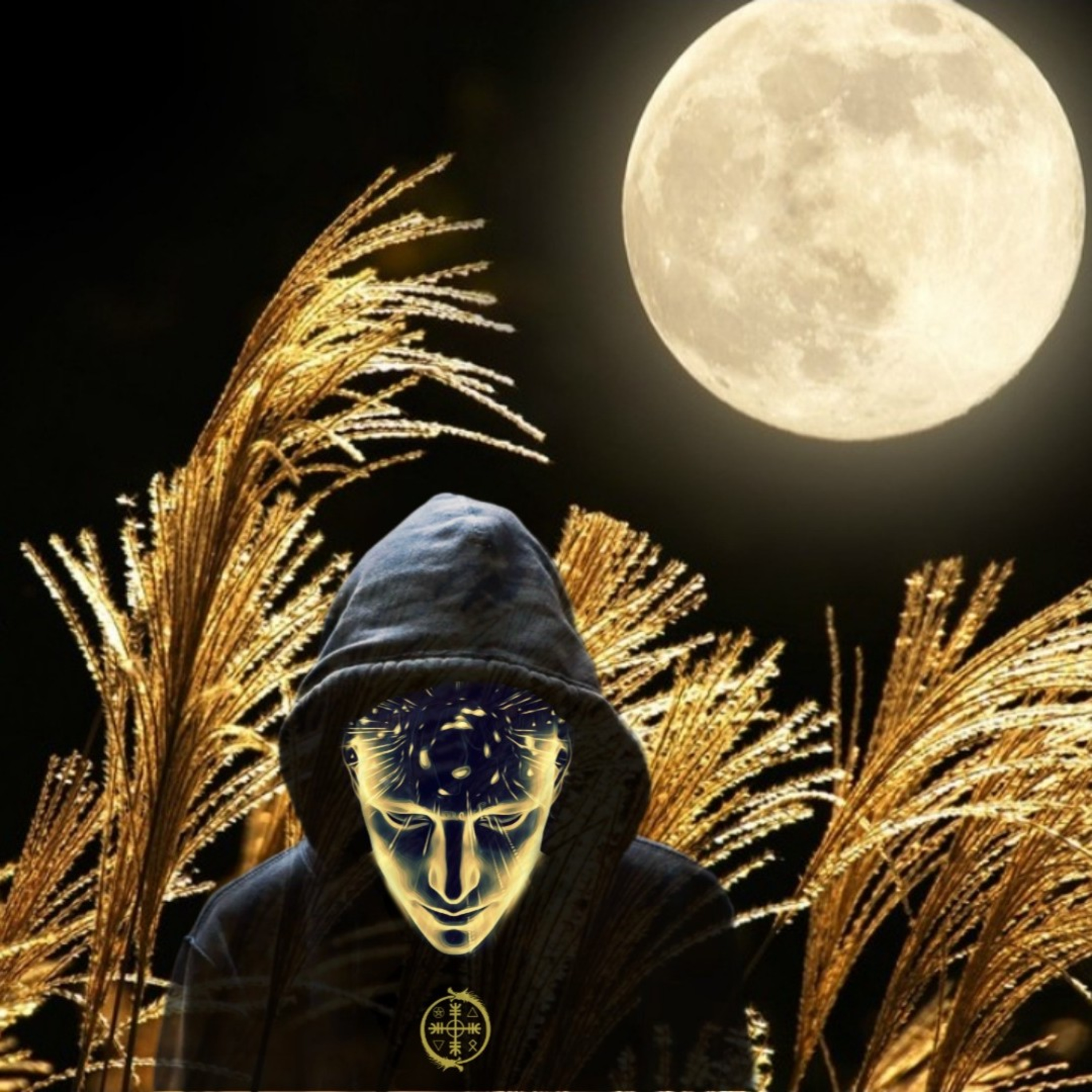 Portada de Caminante del Misterio
