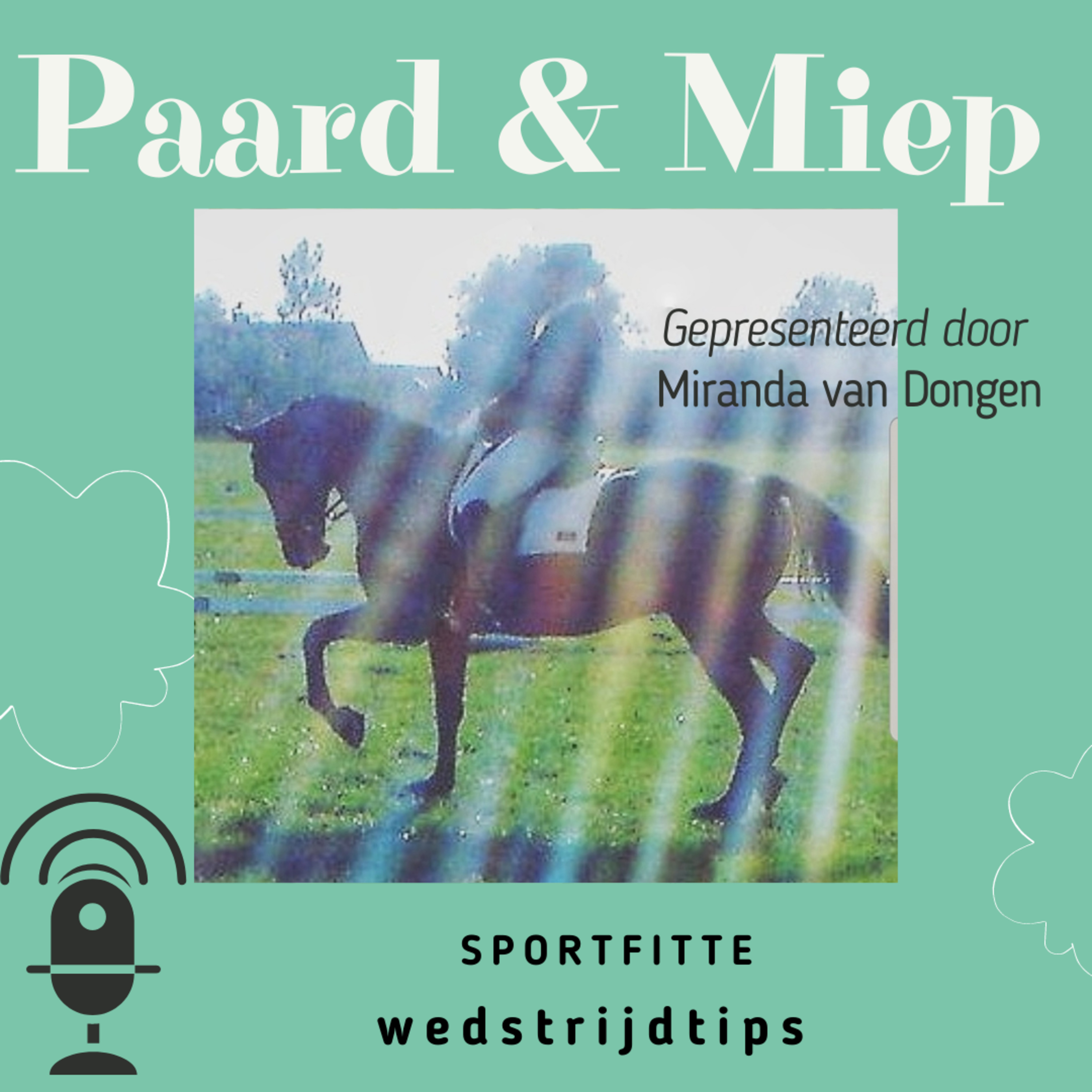 DE hippische coaching podcast door Paard & Miep hippische coaching