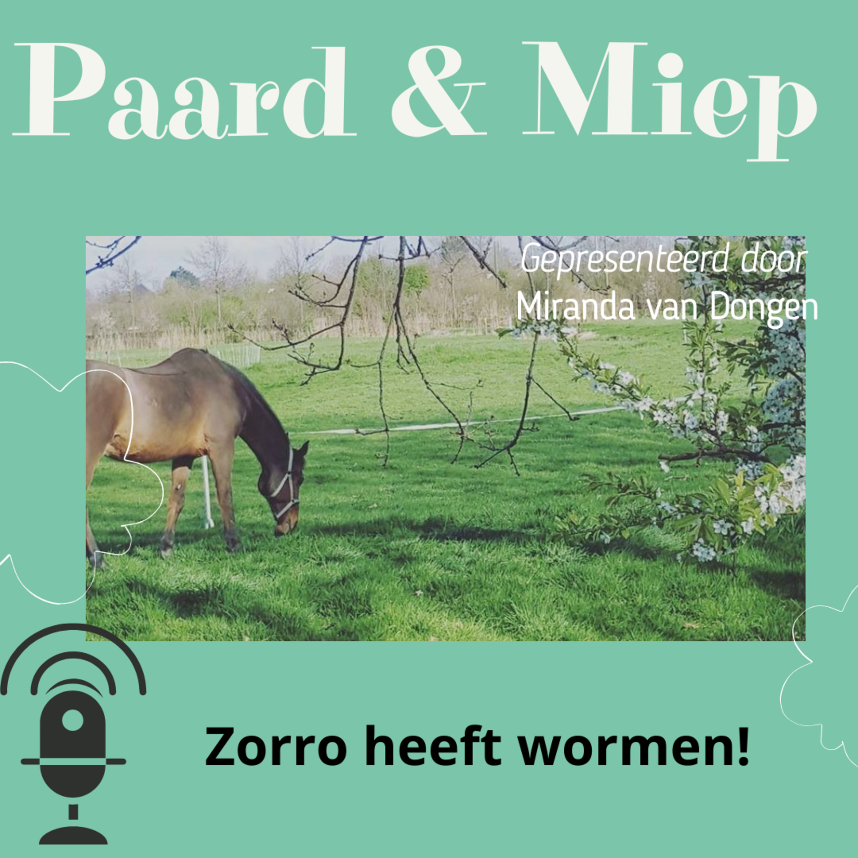 DE hippische coaching podcast door Paard & Miep hippische coaching