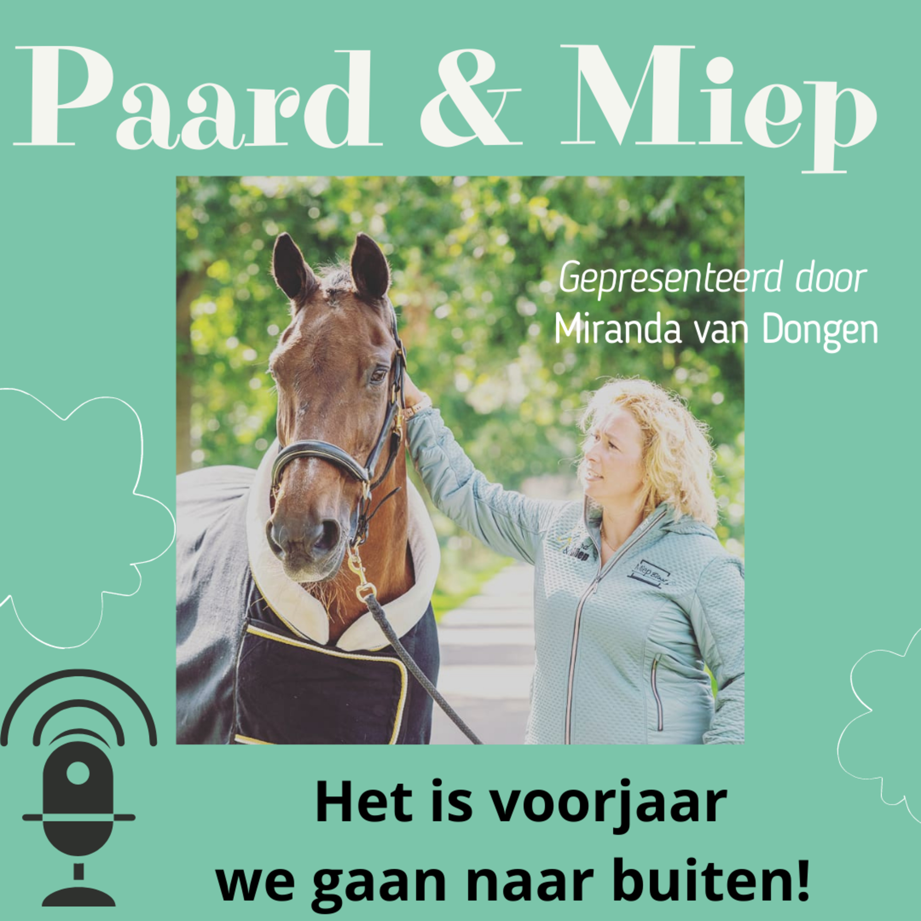 DE hippische coaching podcast door Paard & Miep hippische coaching