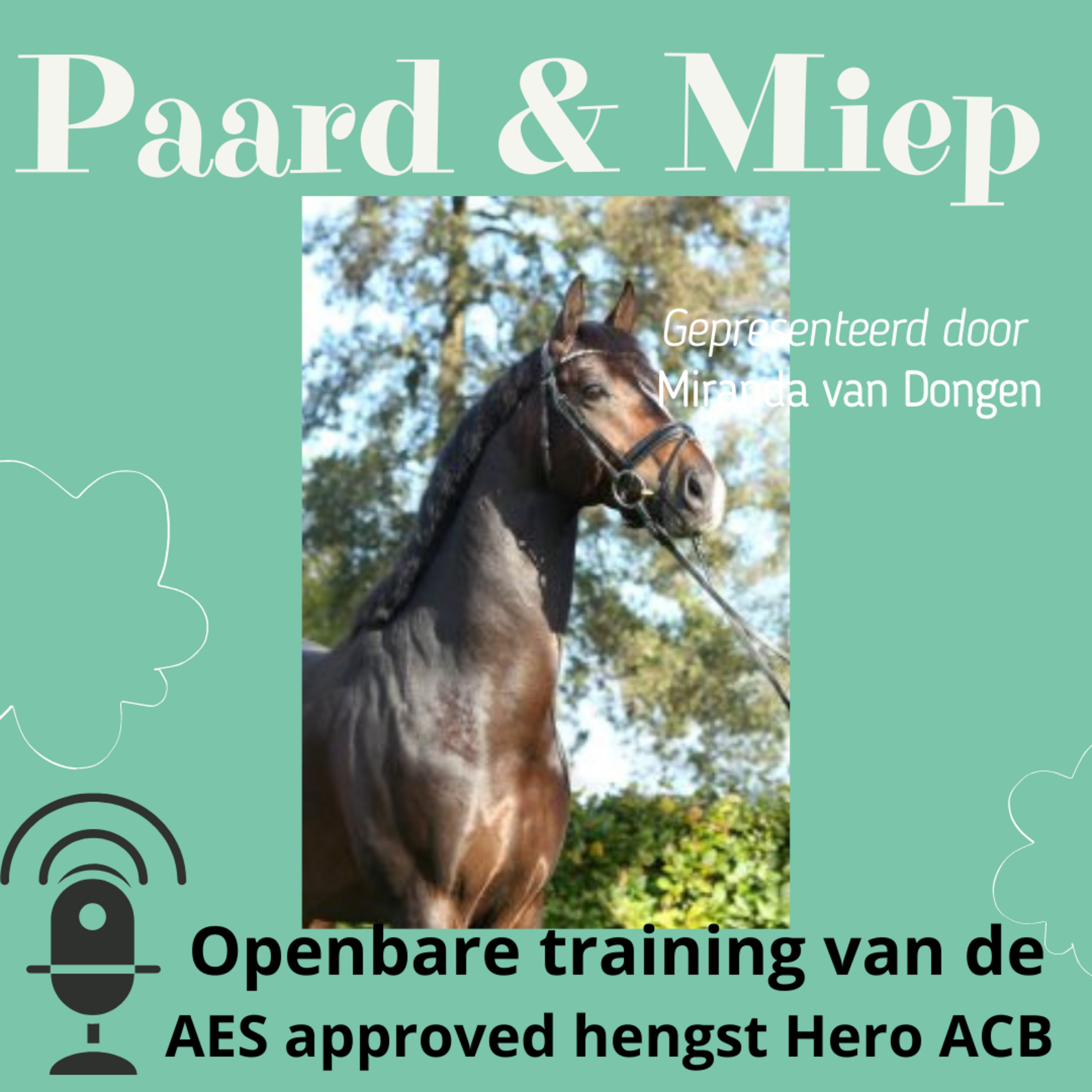 DE hippische coaching podcast door Paard & Miep hippische coaching