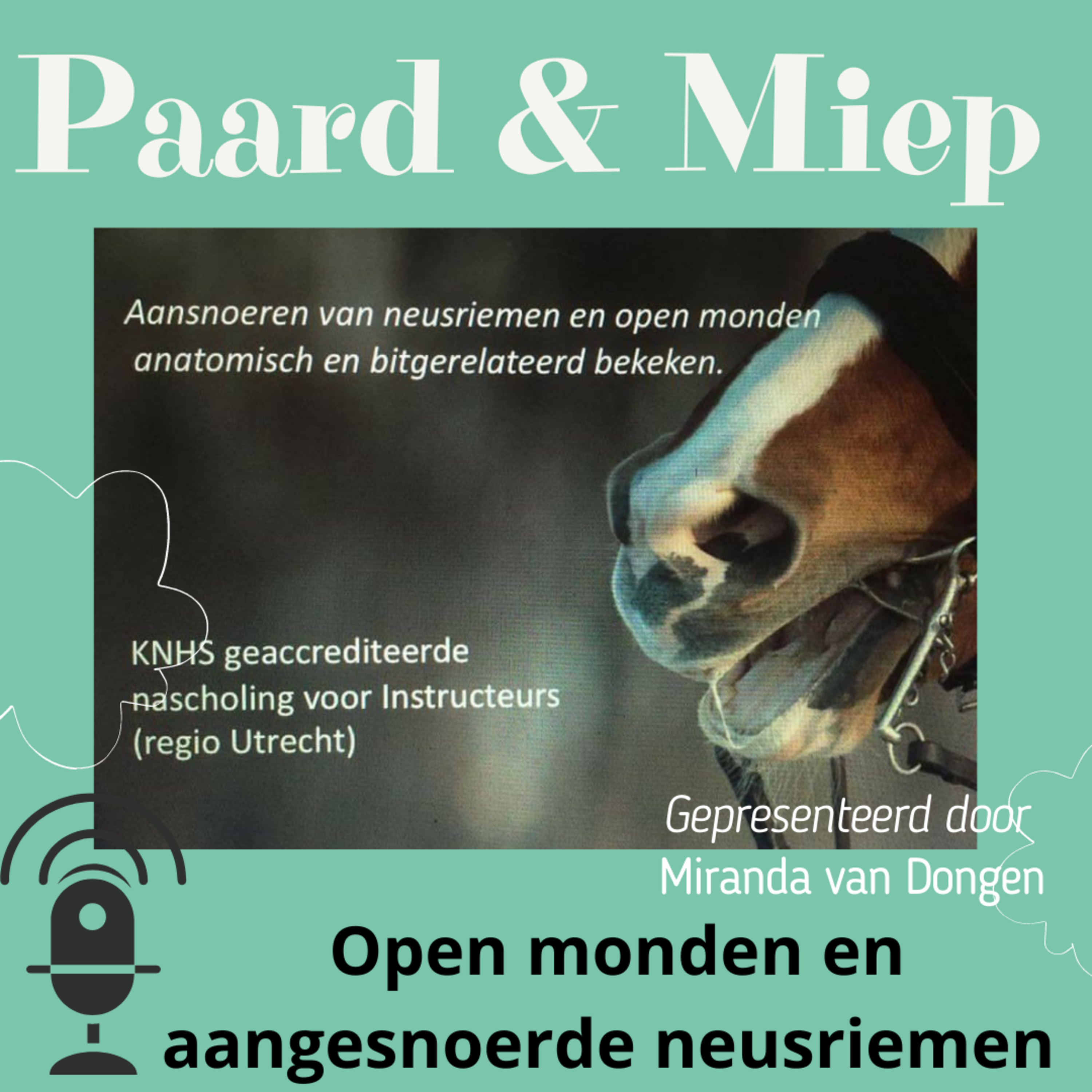 DE hippische coaching podcast door Paard & Miep hippische coaching