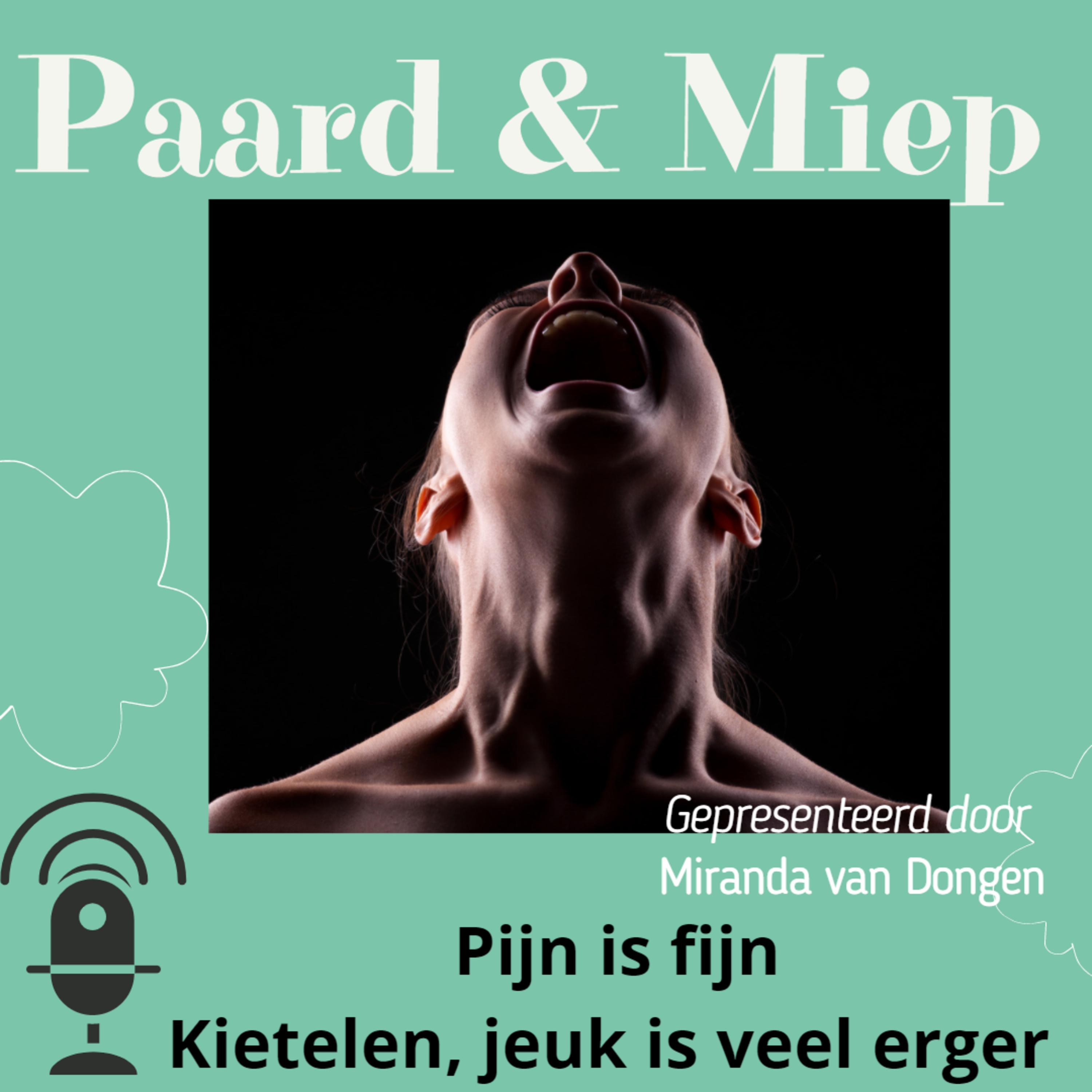 DE hippische coaching podcast door Paard & Miep hippische coaching
