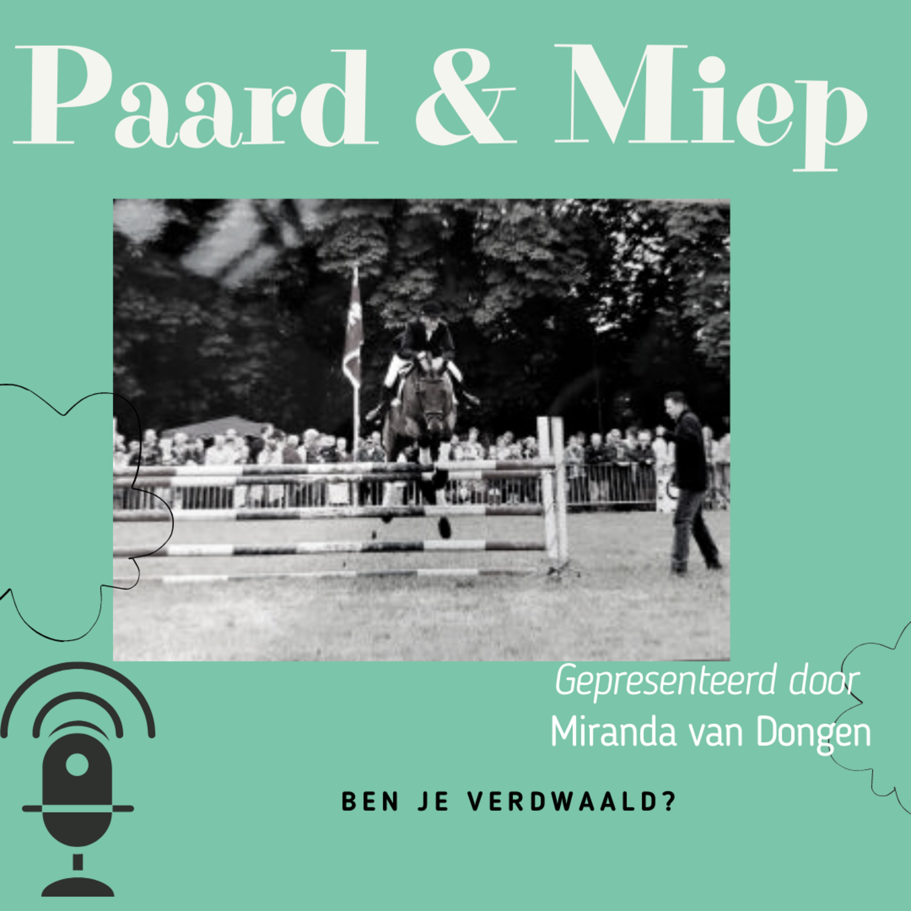 DE hippische coaching podcast door Paard & Miep hippische coaching