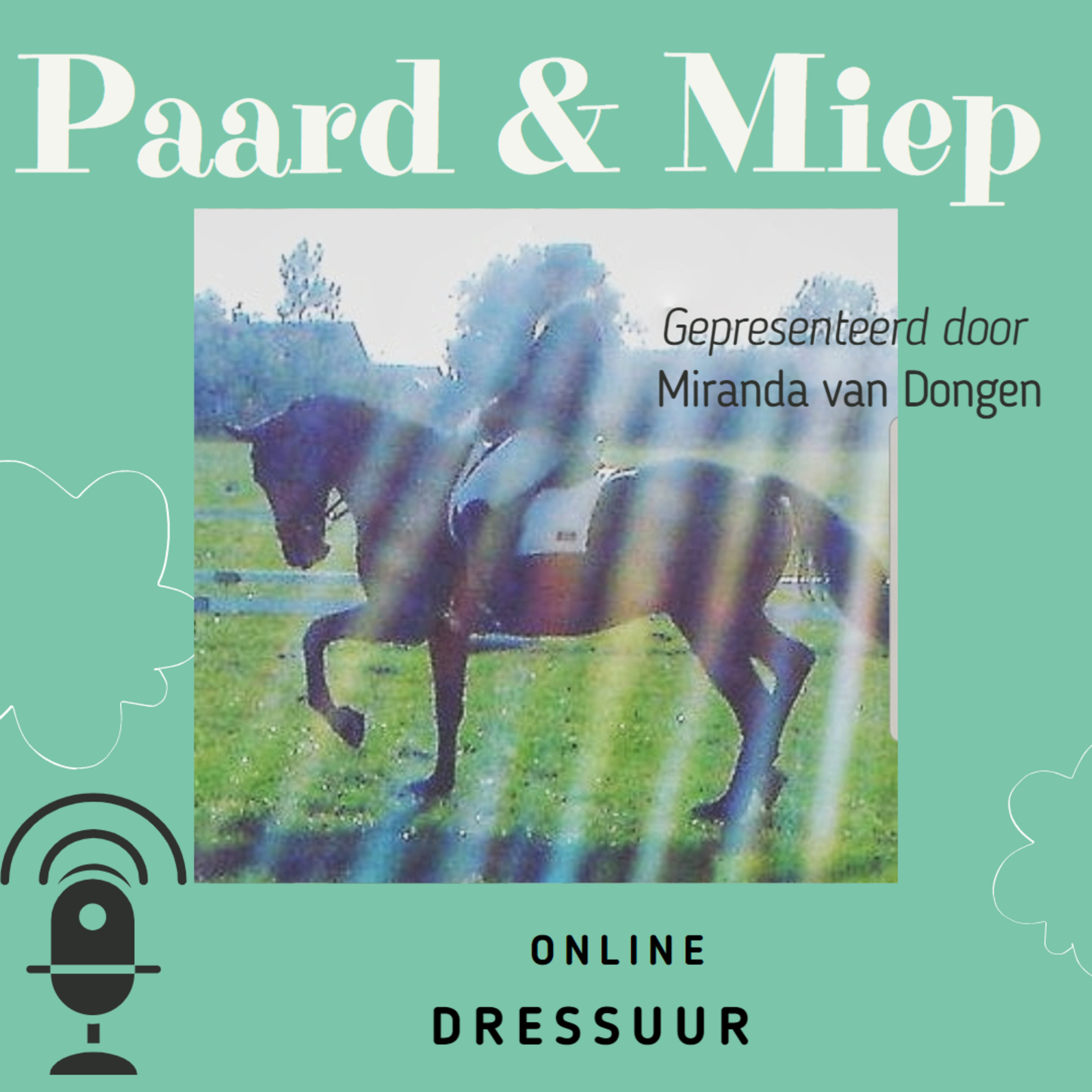 DE hippische coaching podcast door Paard & Miep hippische coaching