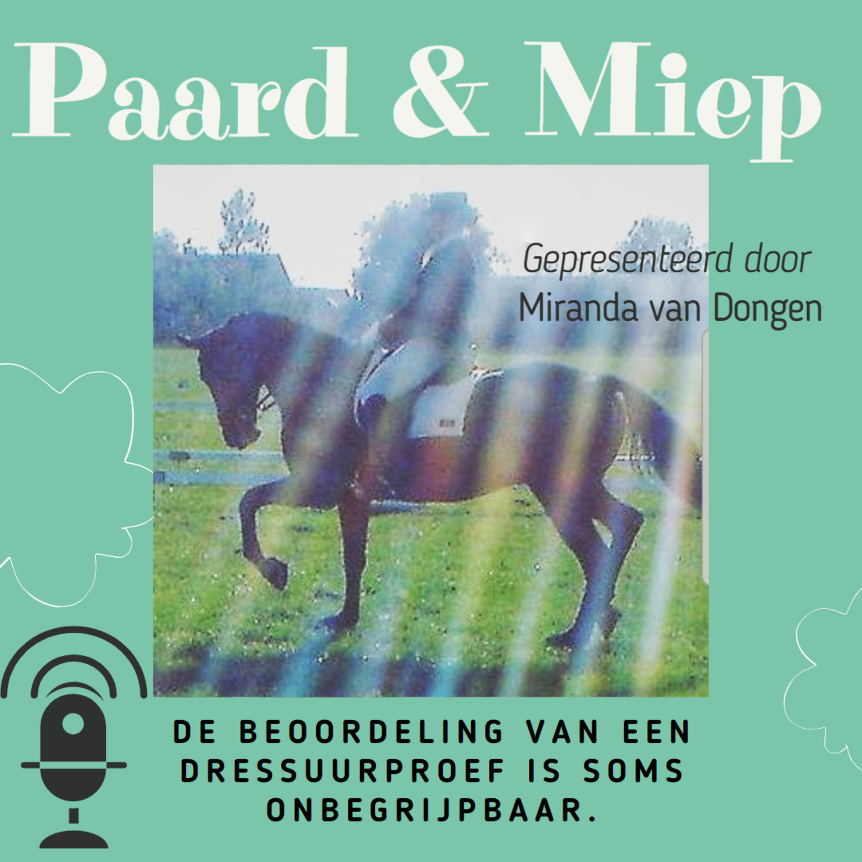 DE hippische coaching podcast door Paard & Miep hippische coaching