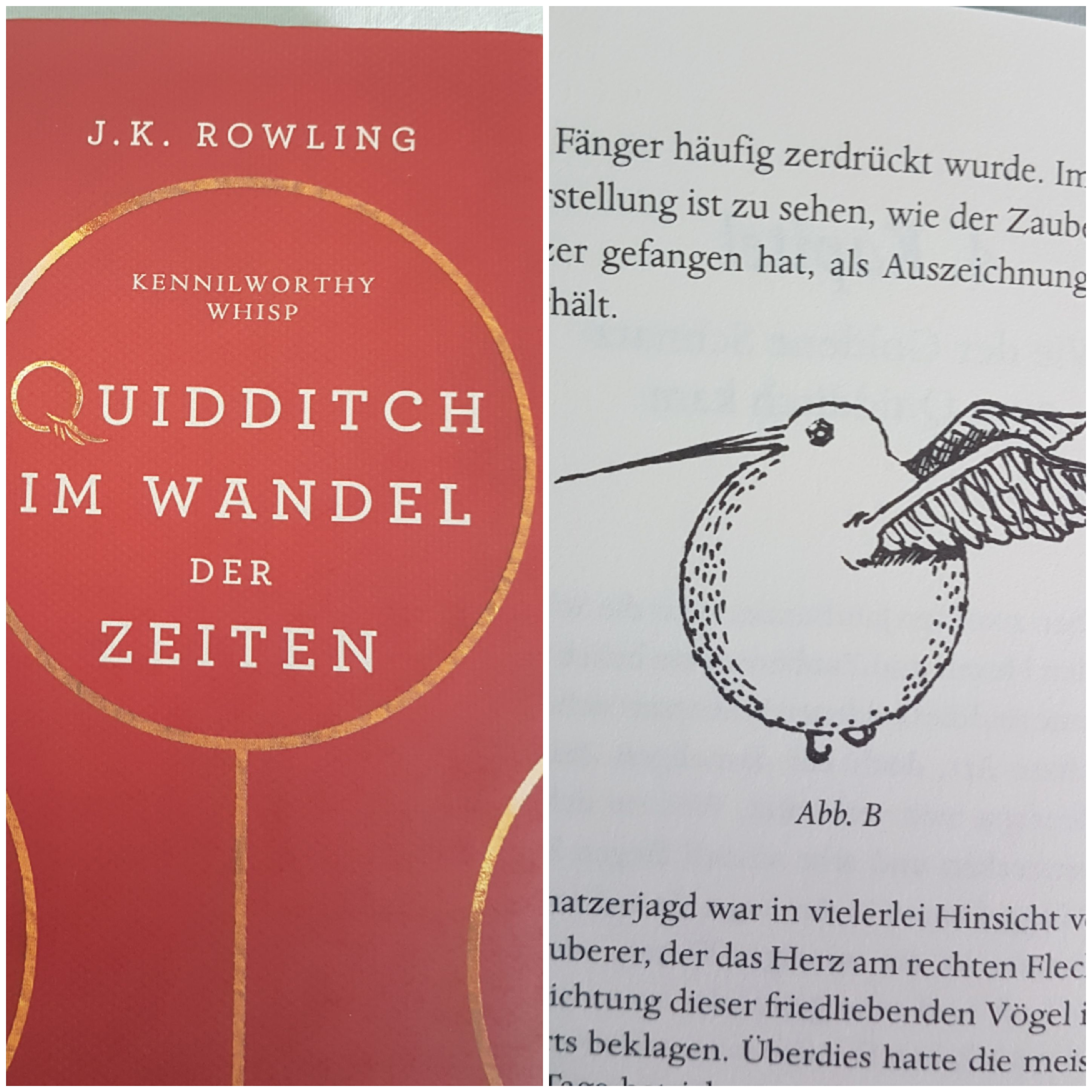 Schulbuch Special #4 episode artwork