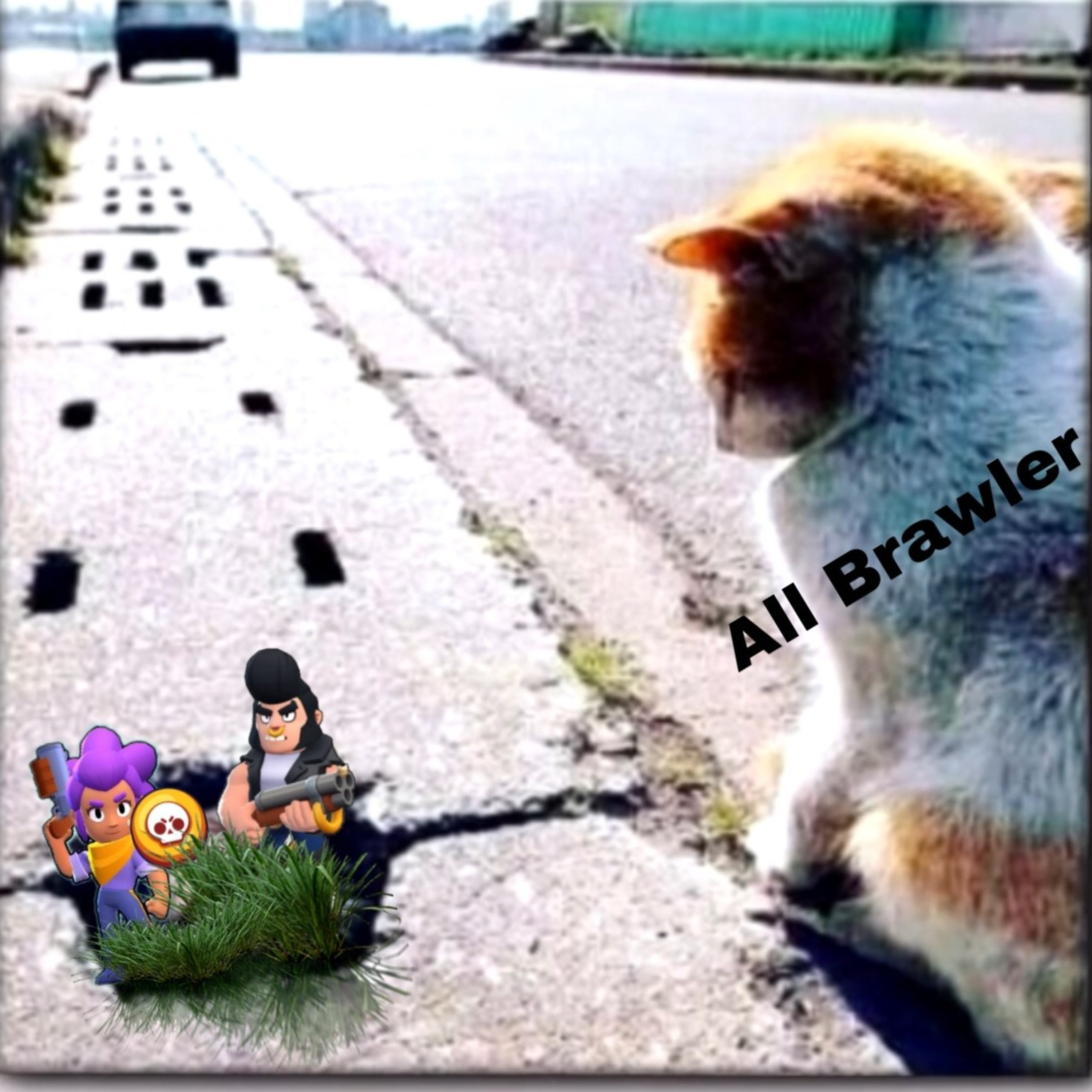 #13 brawl stars memes  episode artwork