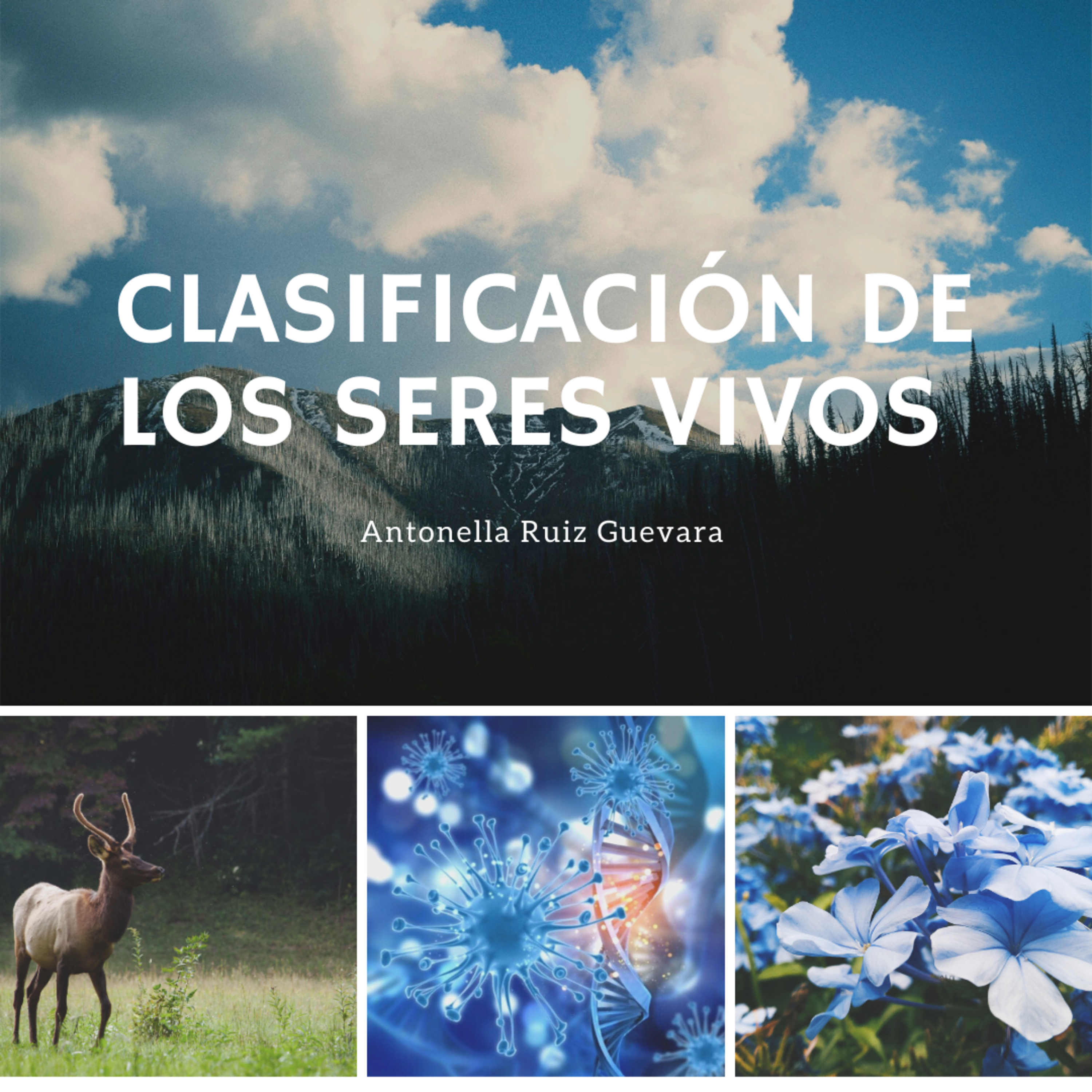 Clasificación de los seres vivos