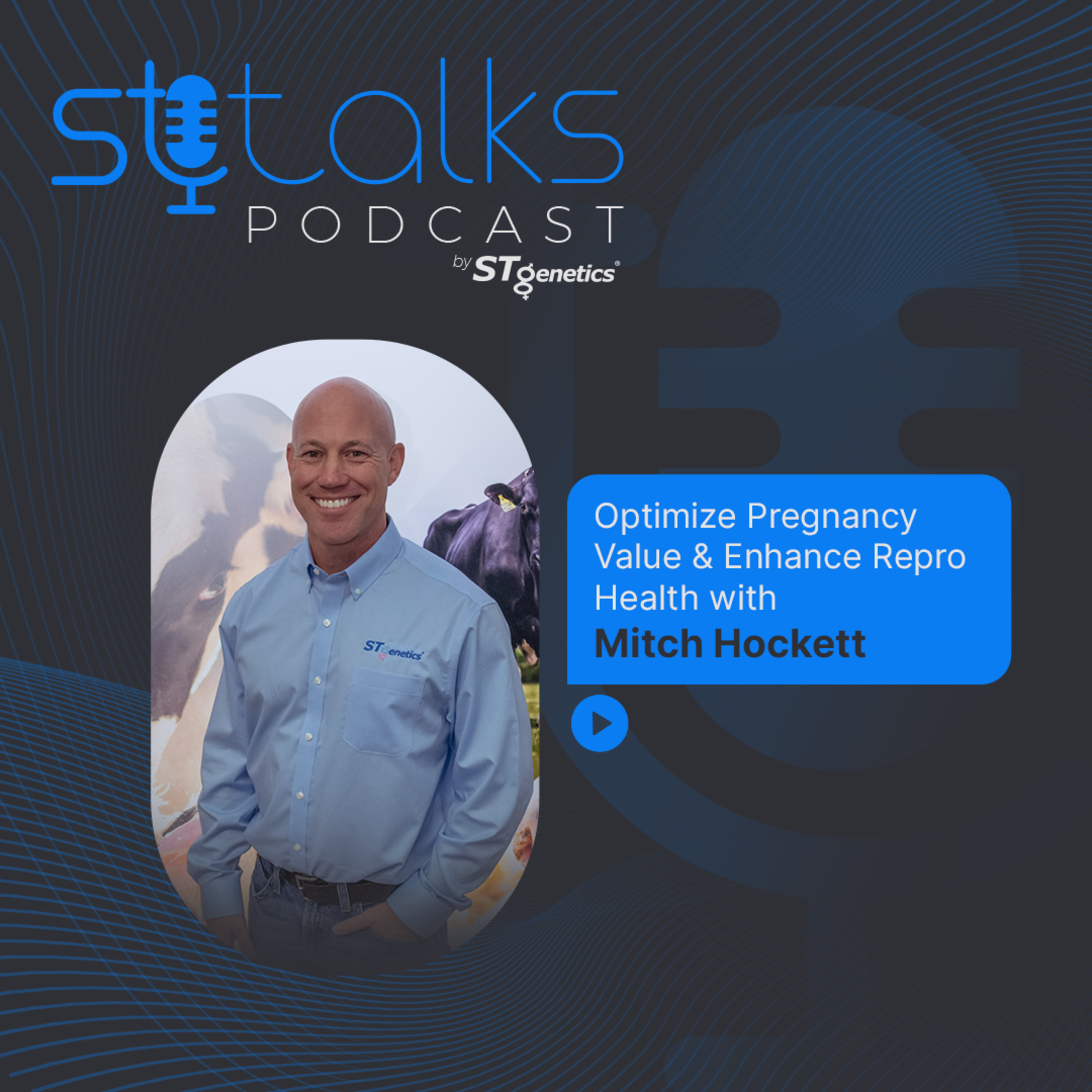  STtalks #01 – Optimize Pregnancy Value & Enhance Repro Health with Mitch Hockett episode artwork