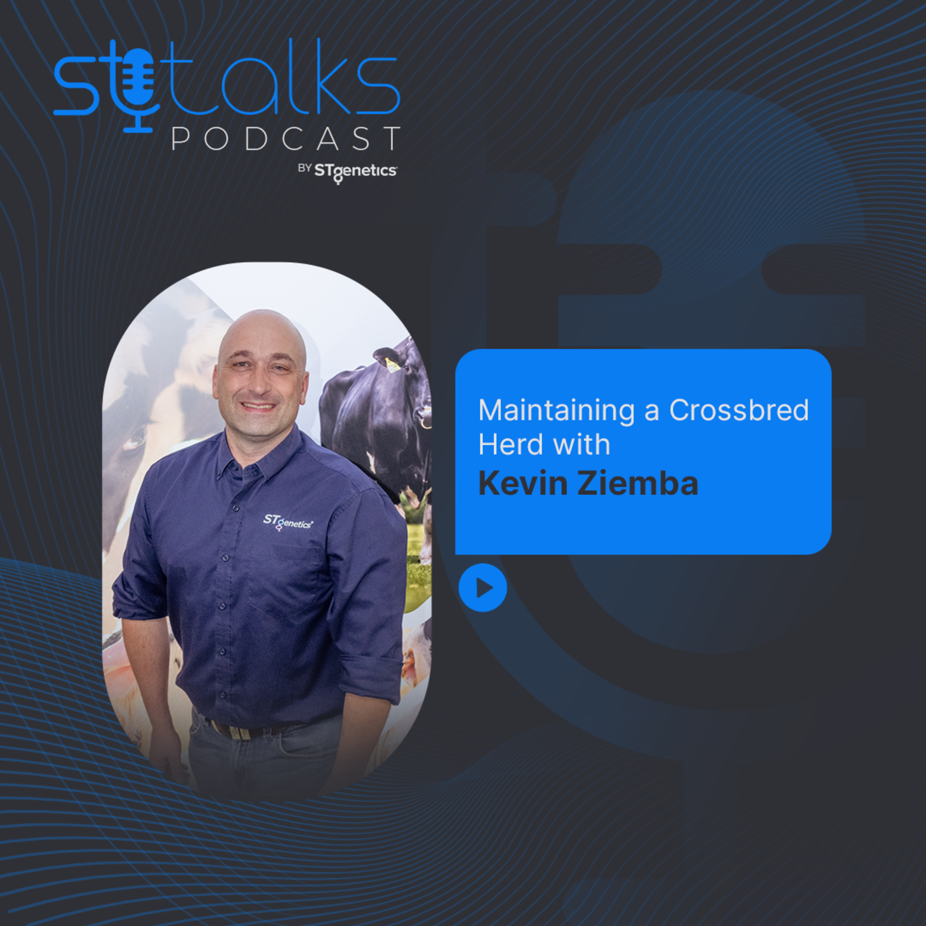 STtalks