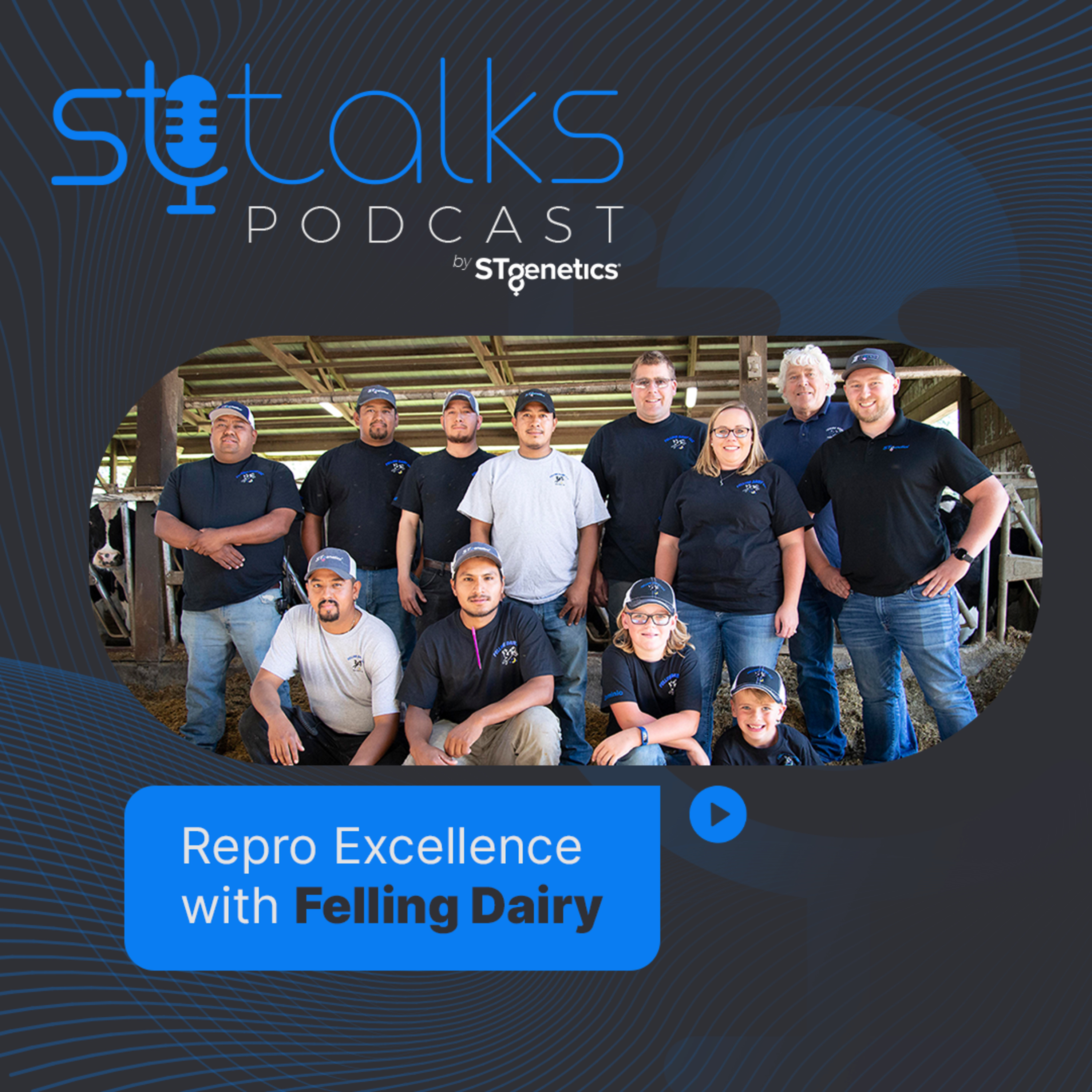 STtalks