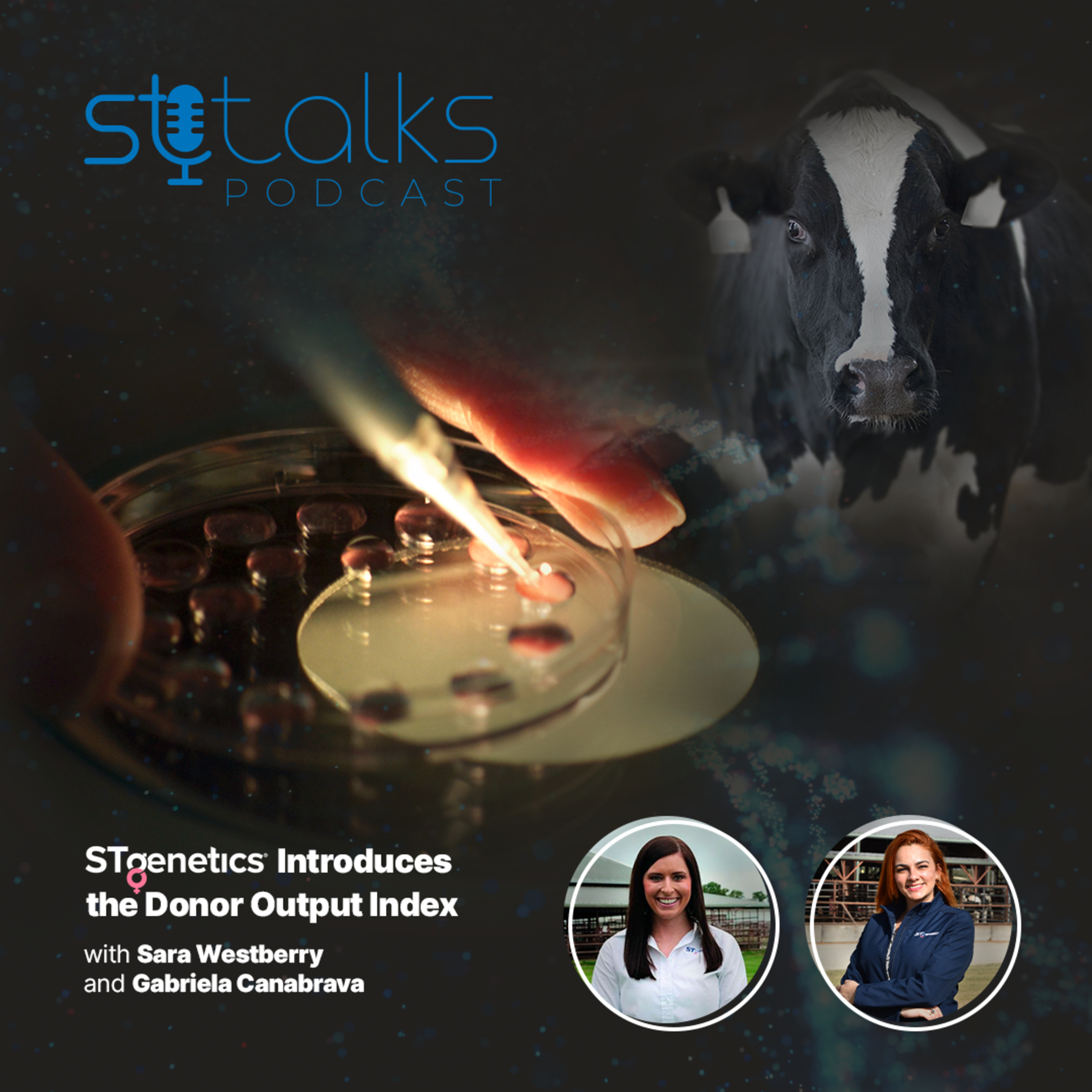 STtalks