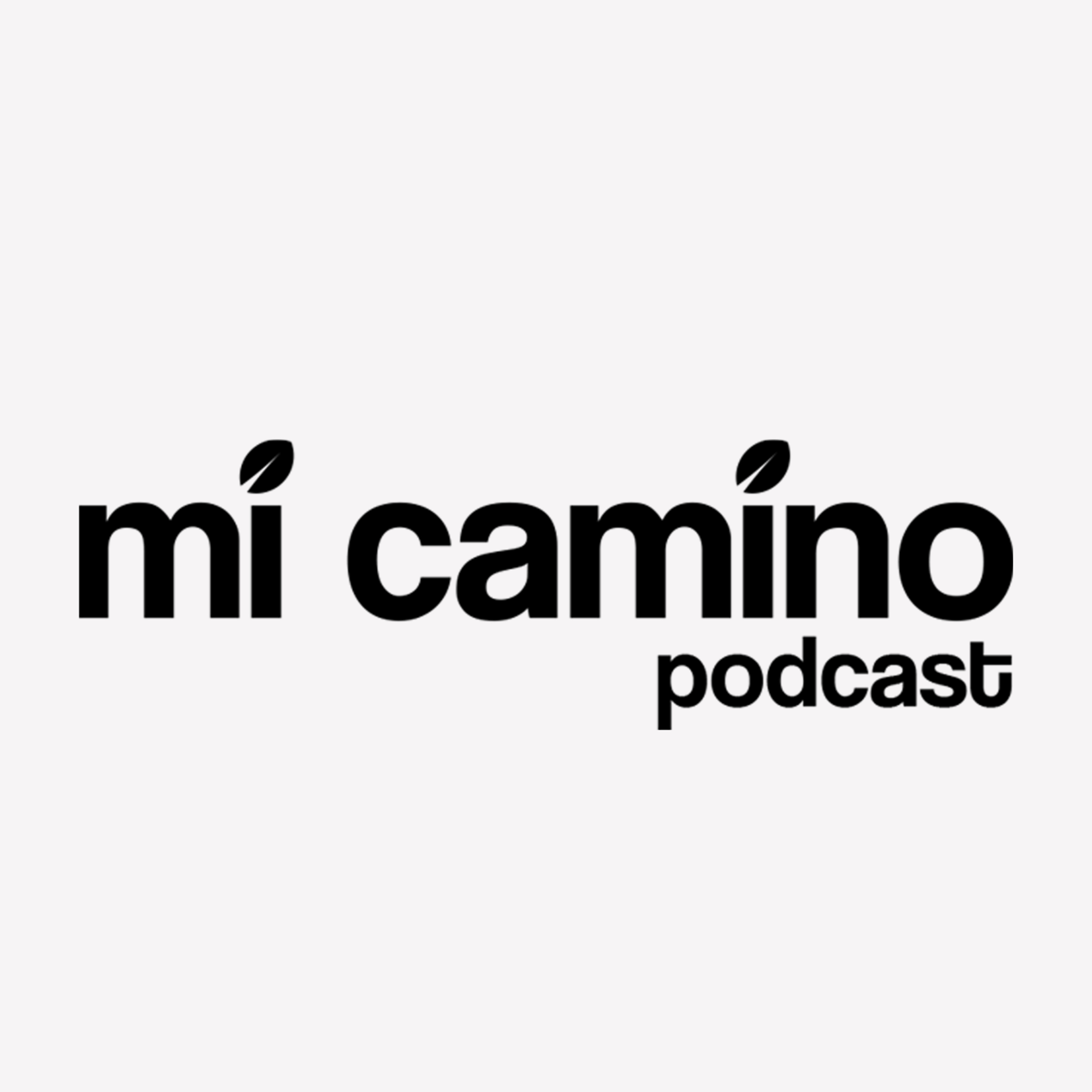 Mi camino