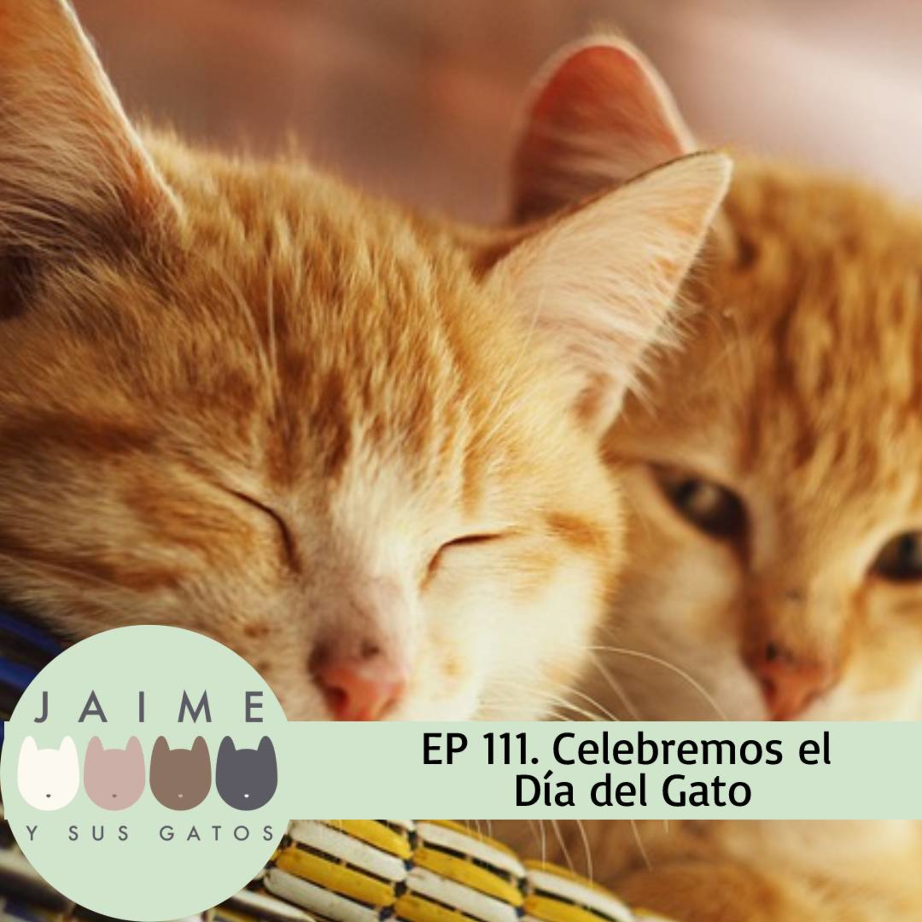 Jaime y sus Gatos