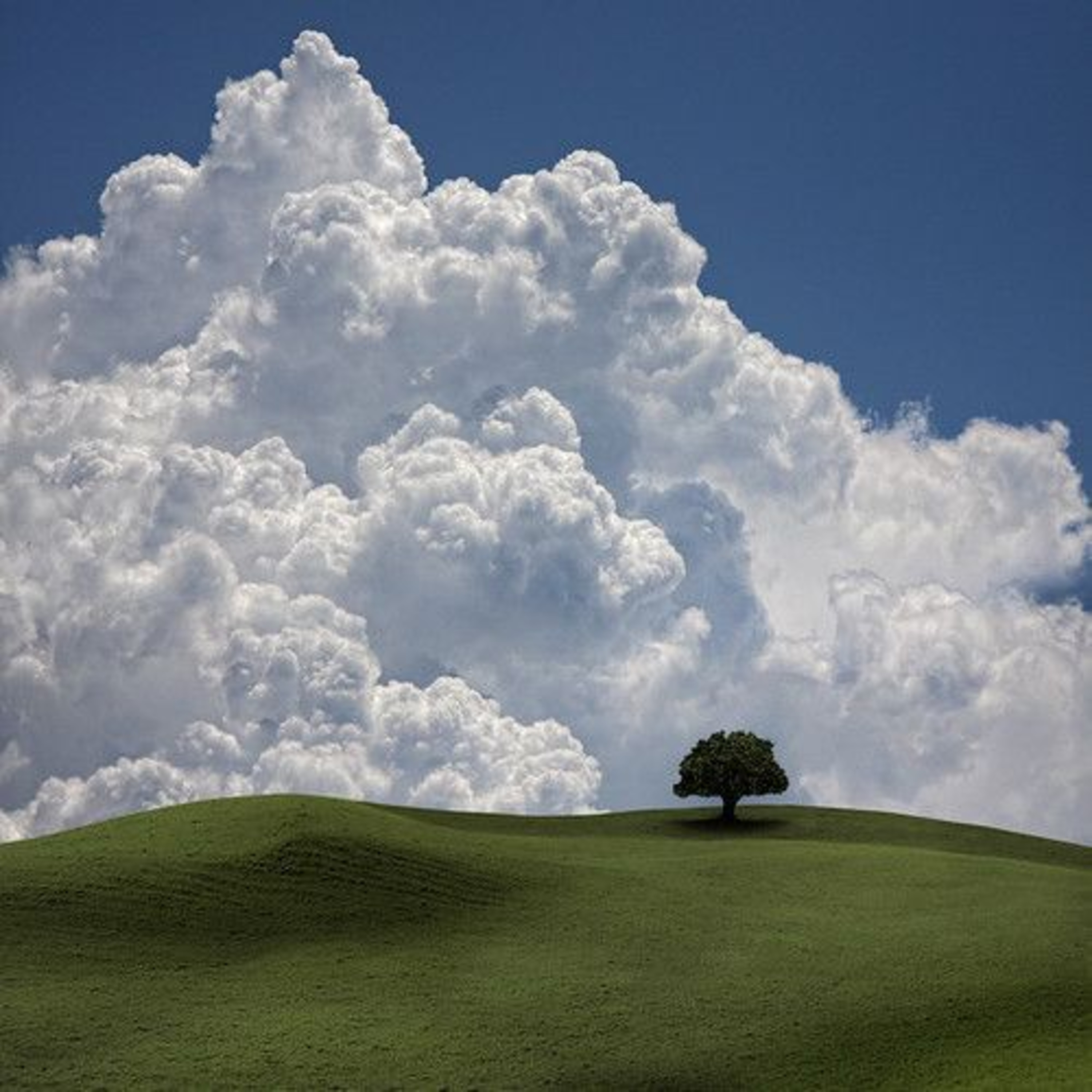 Afternoon on a Hill by Edna St. Vincent Millay episode artwork