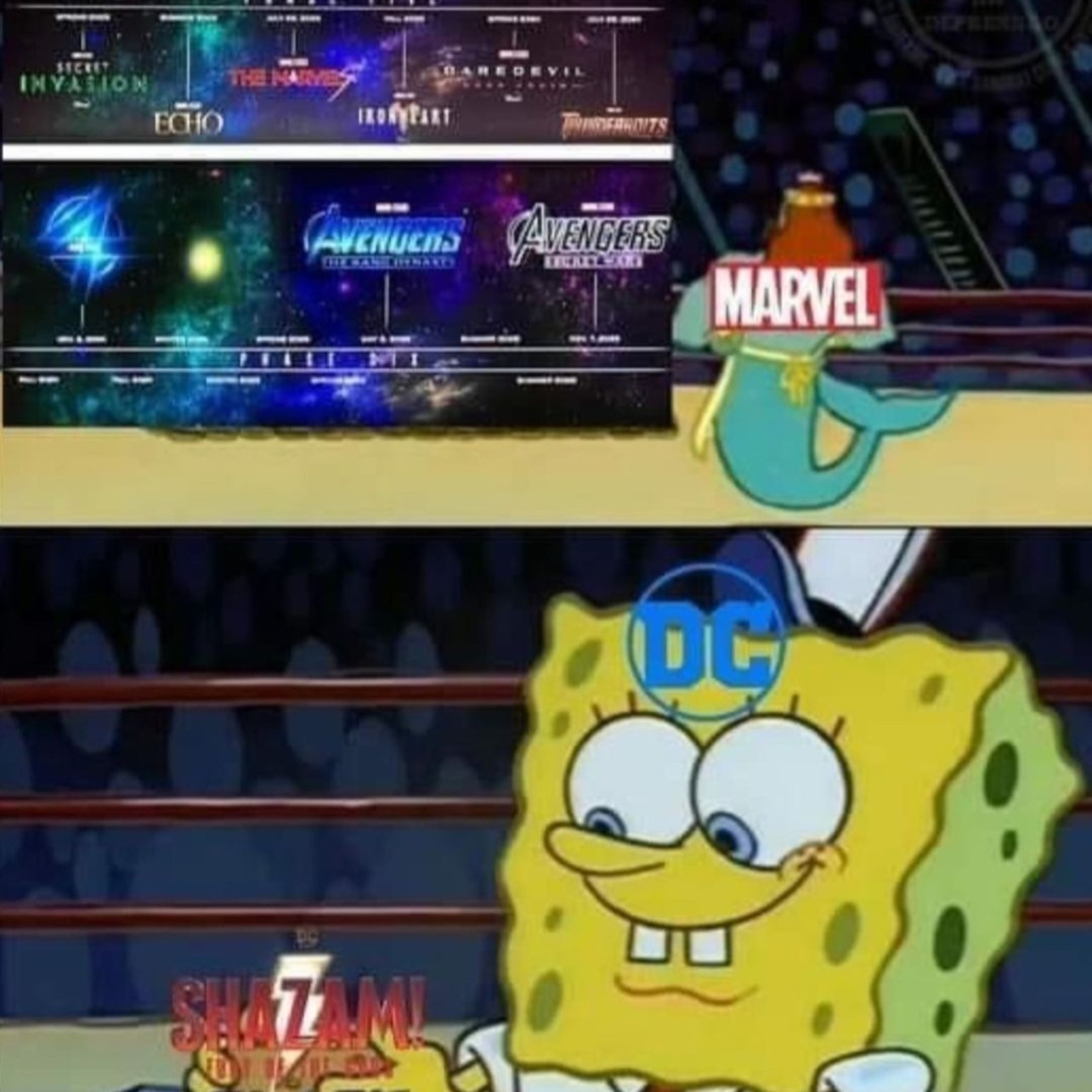 MIBcast