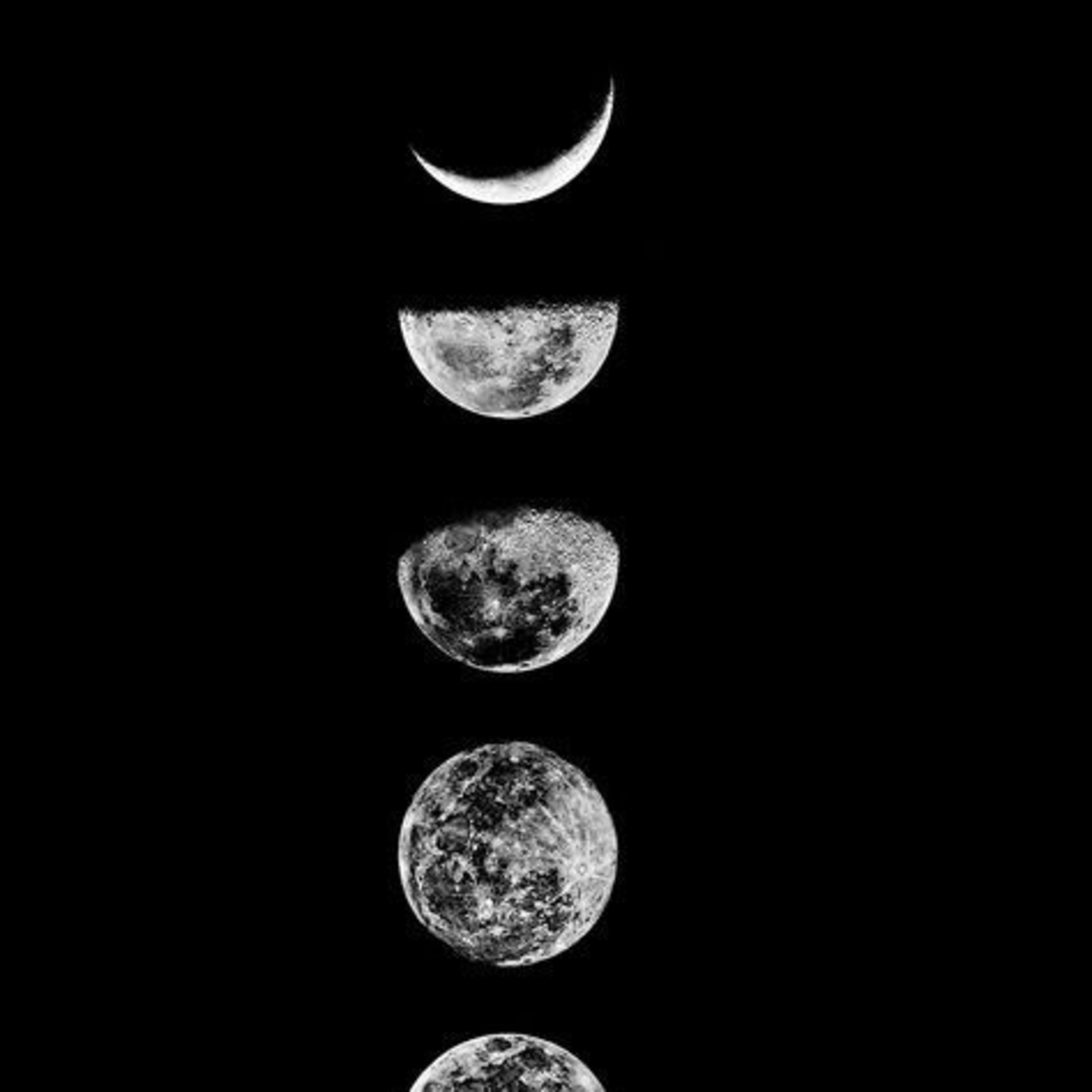 Zapped (Lunar4ever)