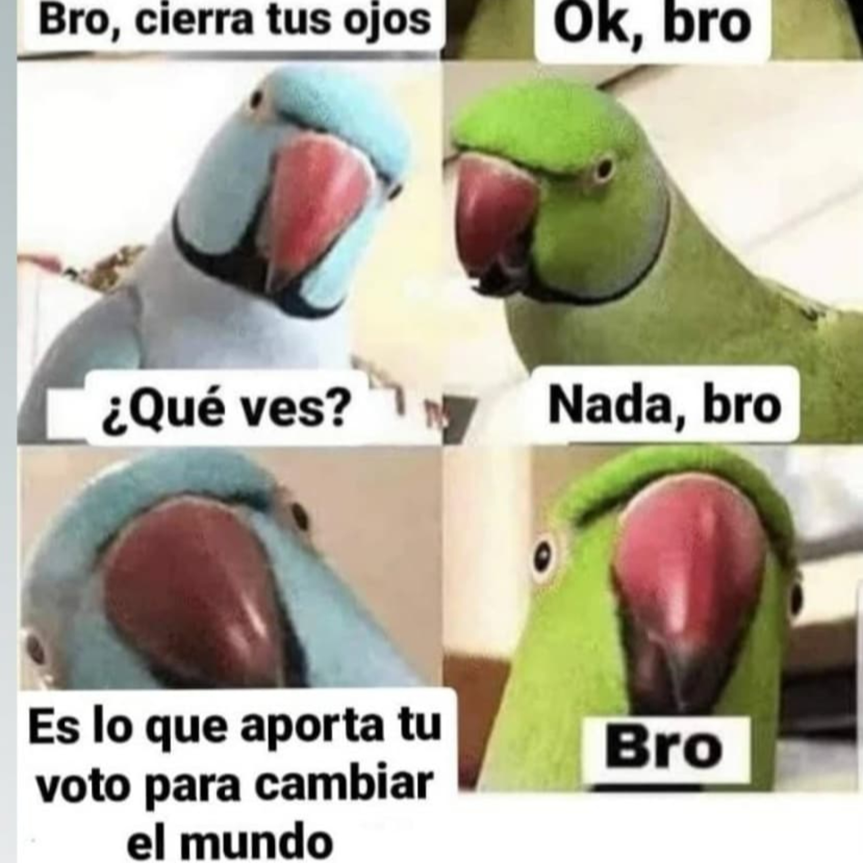 PolitBurro