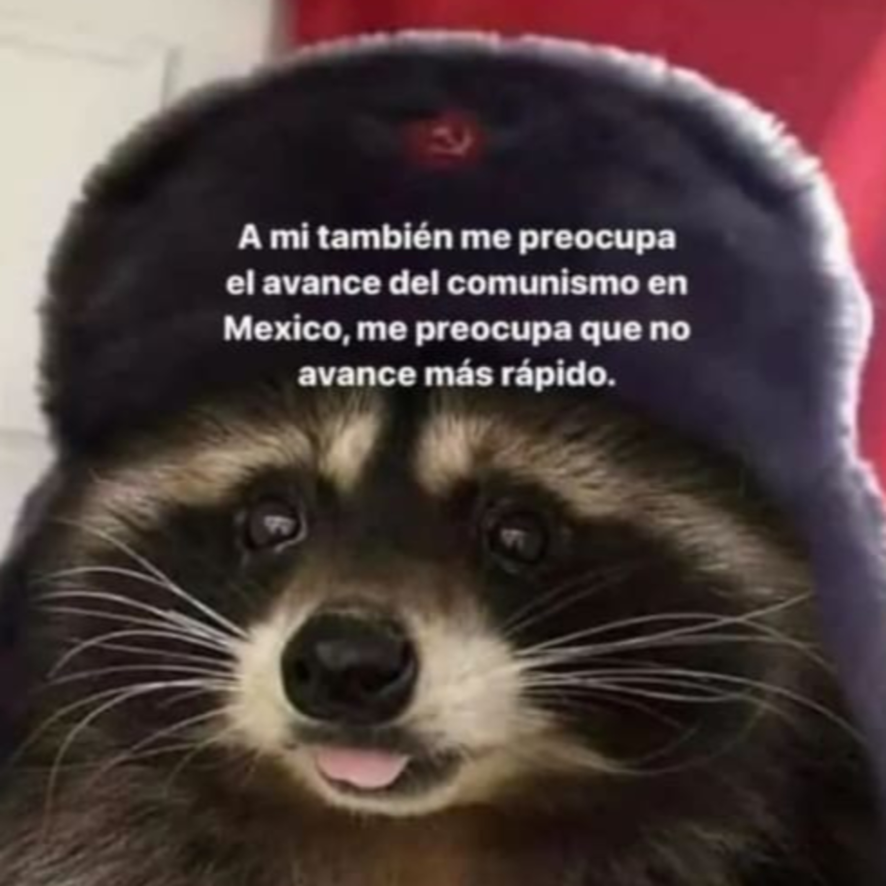 PolitBurro