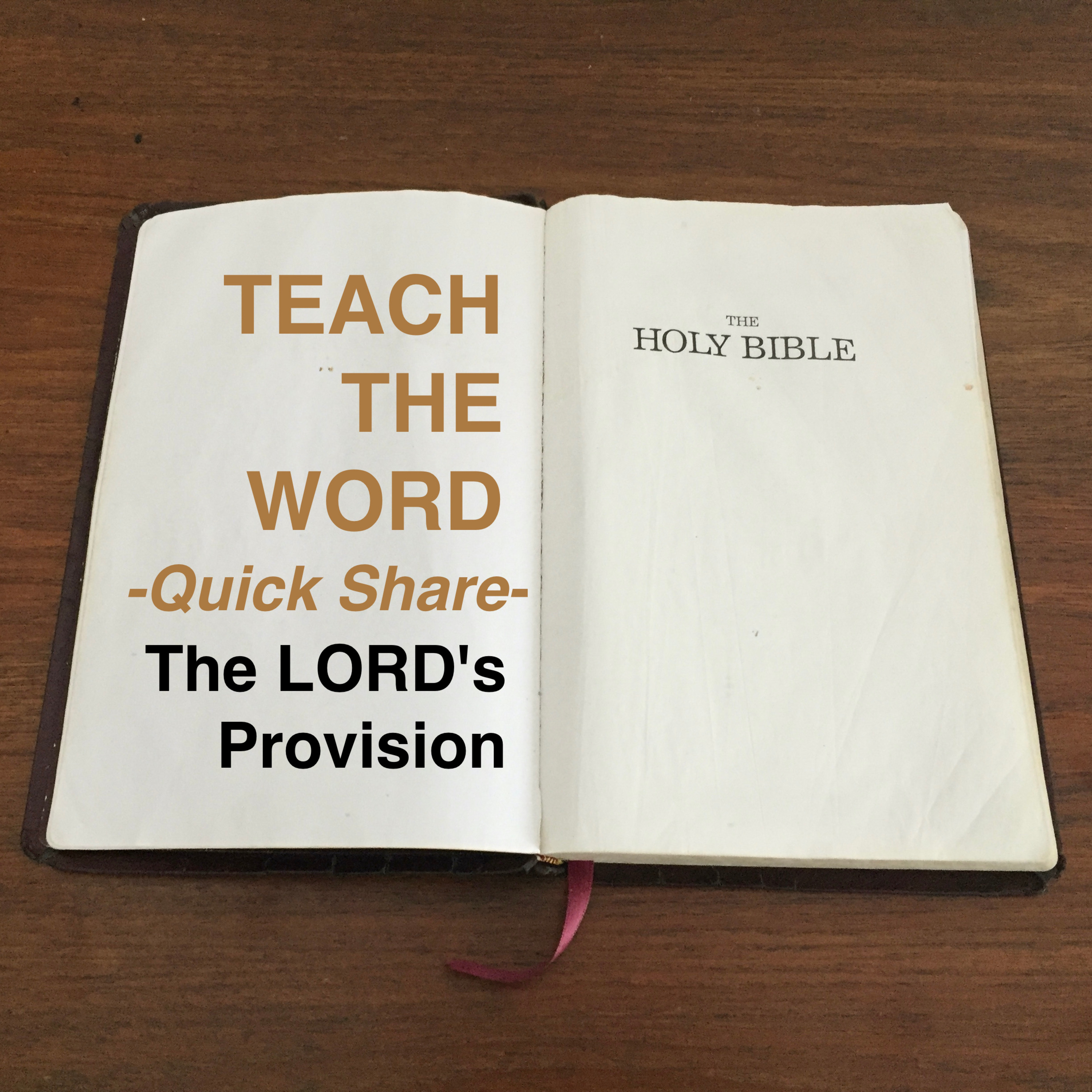 The LORD's Provision episode artwork
