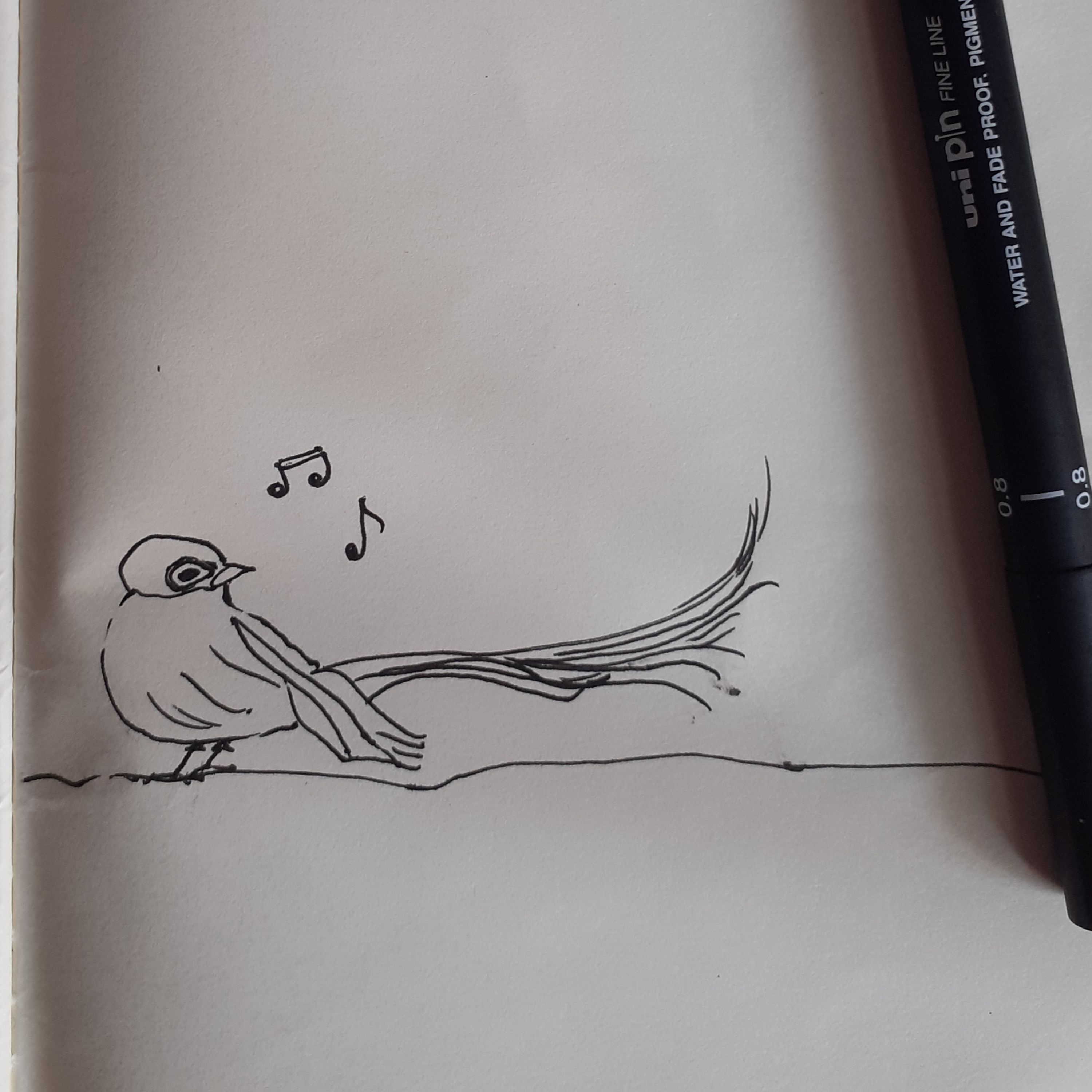 Suara Burung LoveBirds  episode artwork