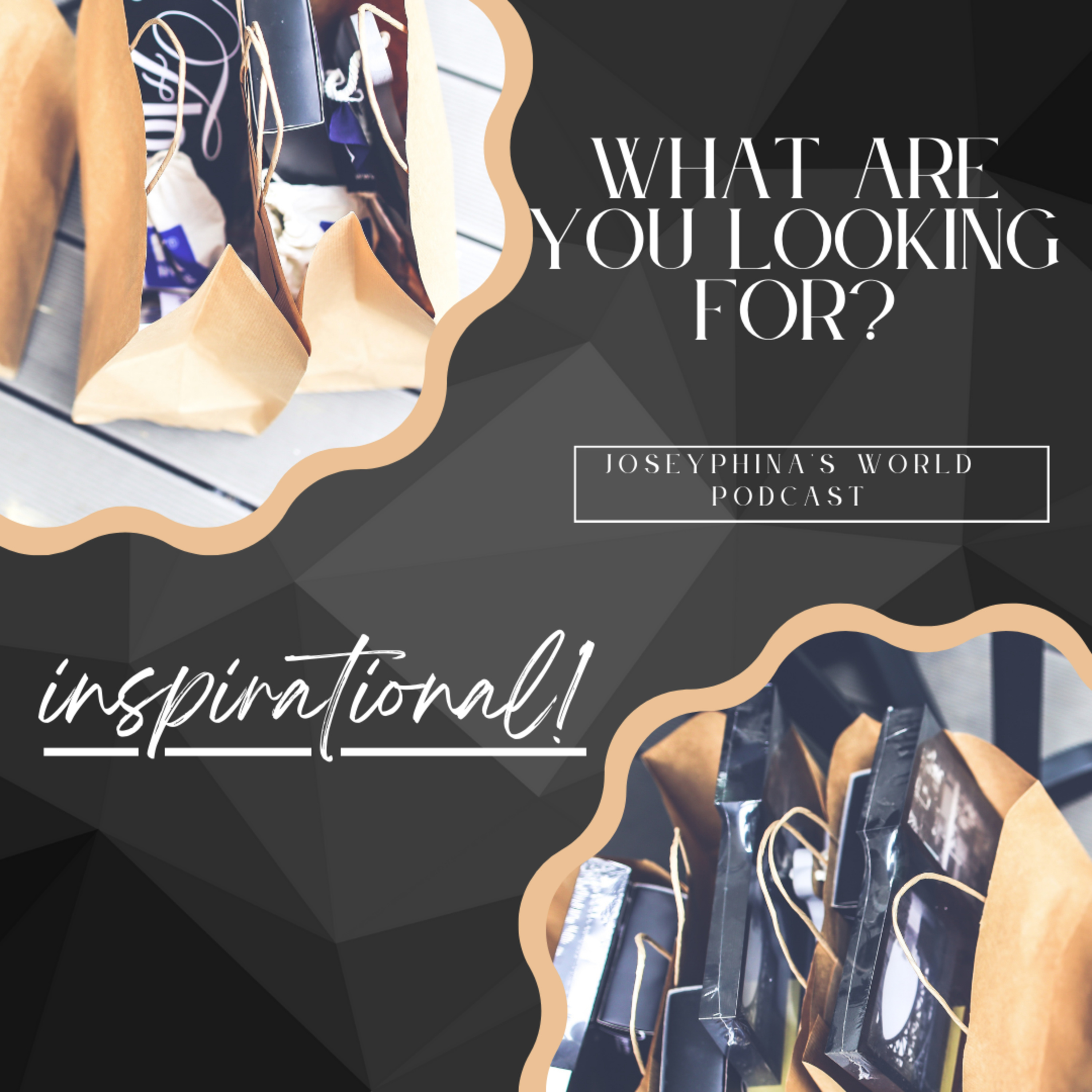 What are you looking for? episode artwork