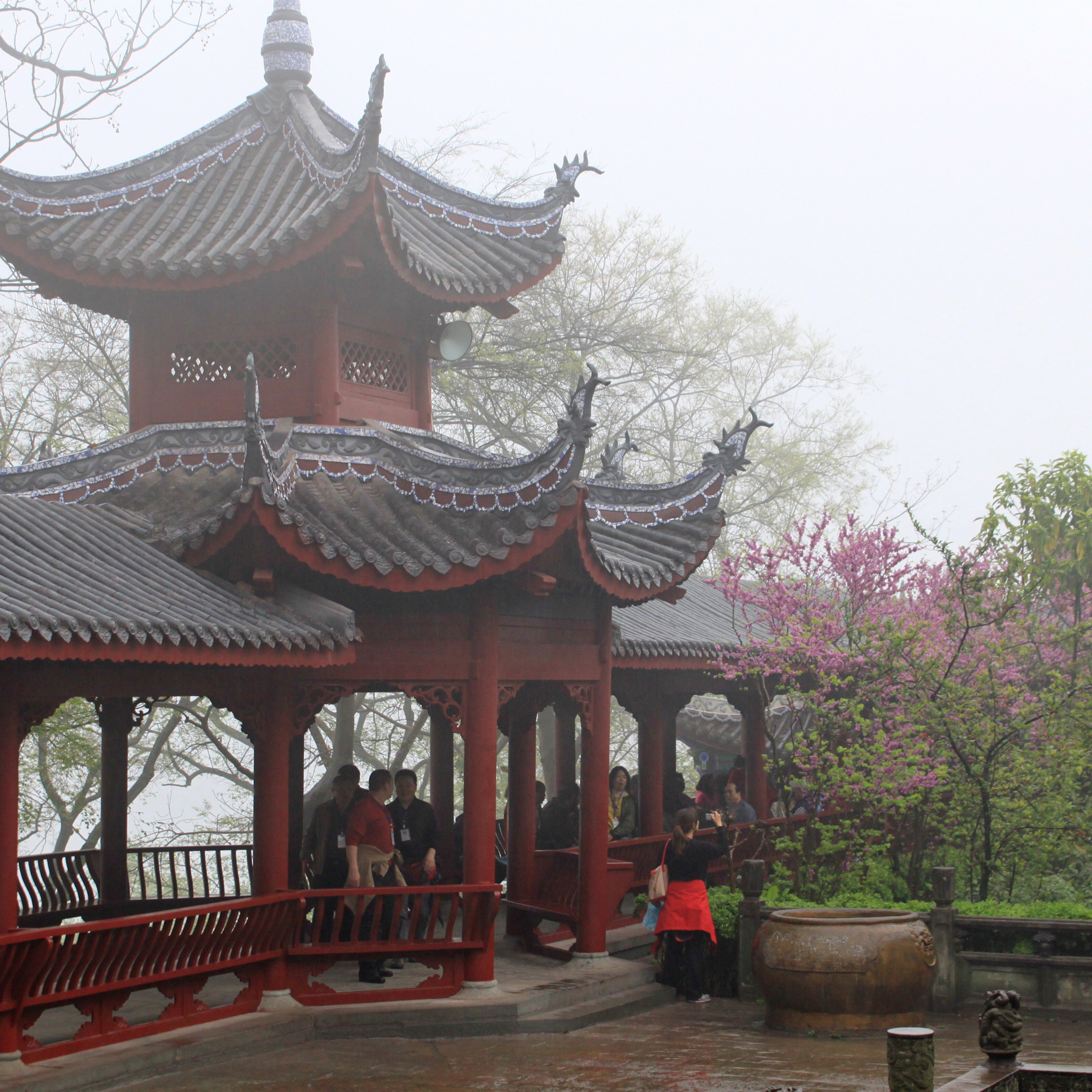 Welcome to Century Cruises!