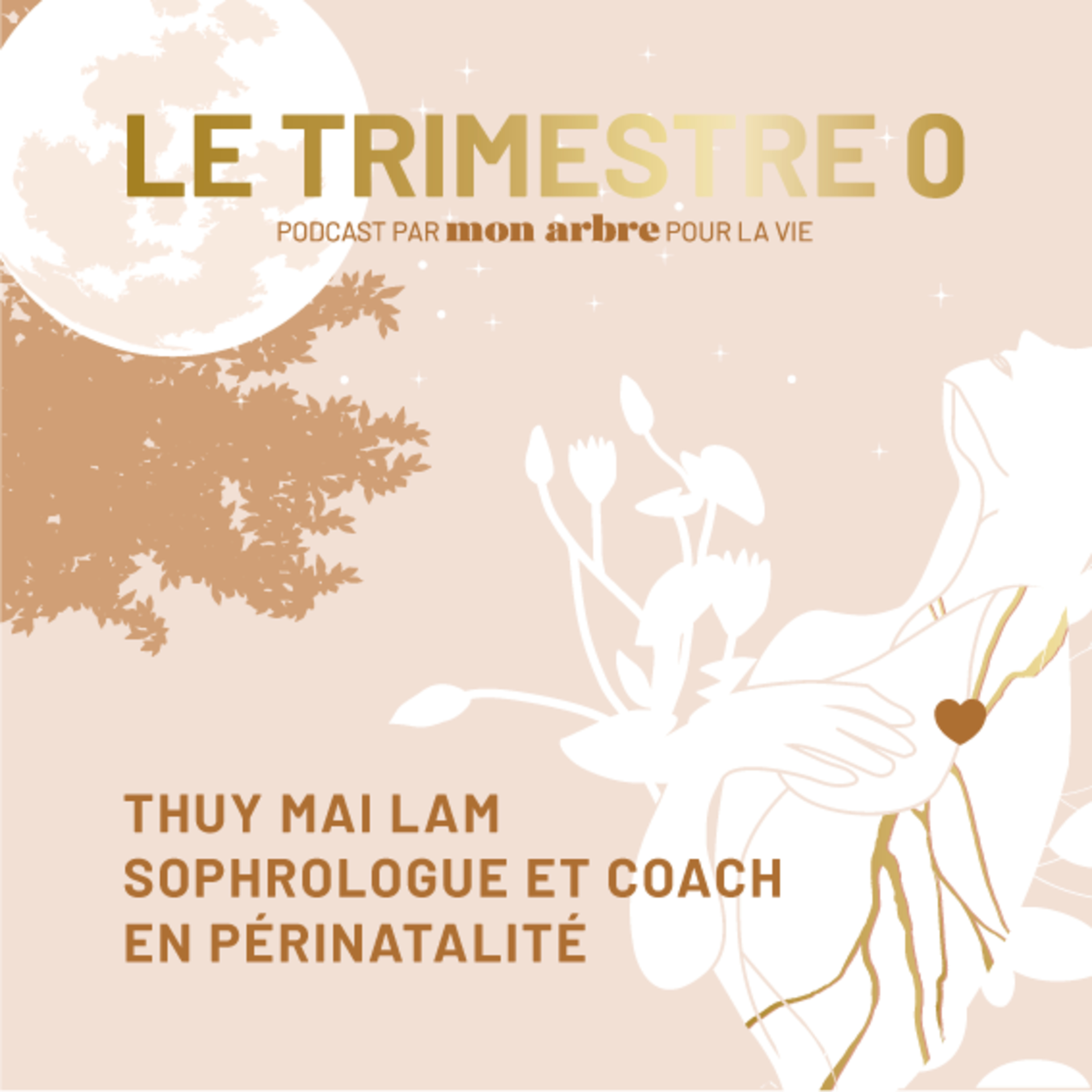 Le Trimestre 0