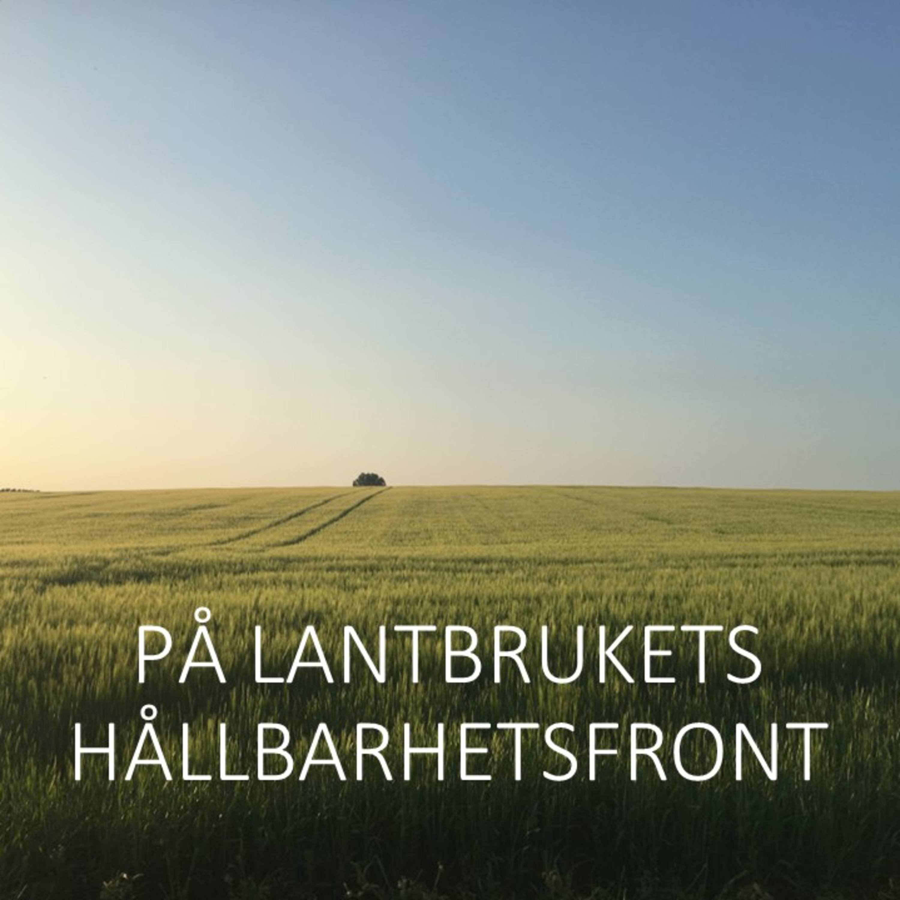 LANTBRUKET SOM ELPRODUCENT: "VI BESTÄMDE OSS FÖR ATT SATSA"