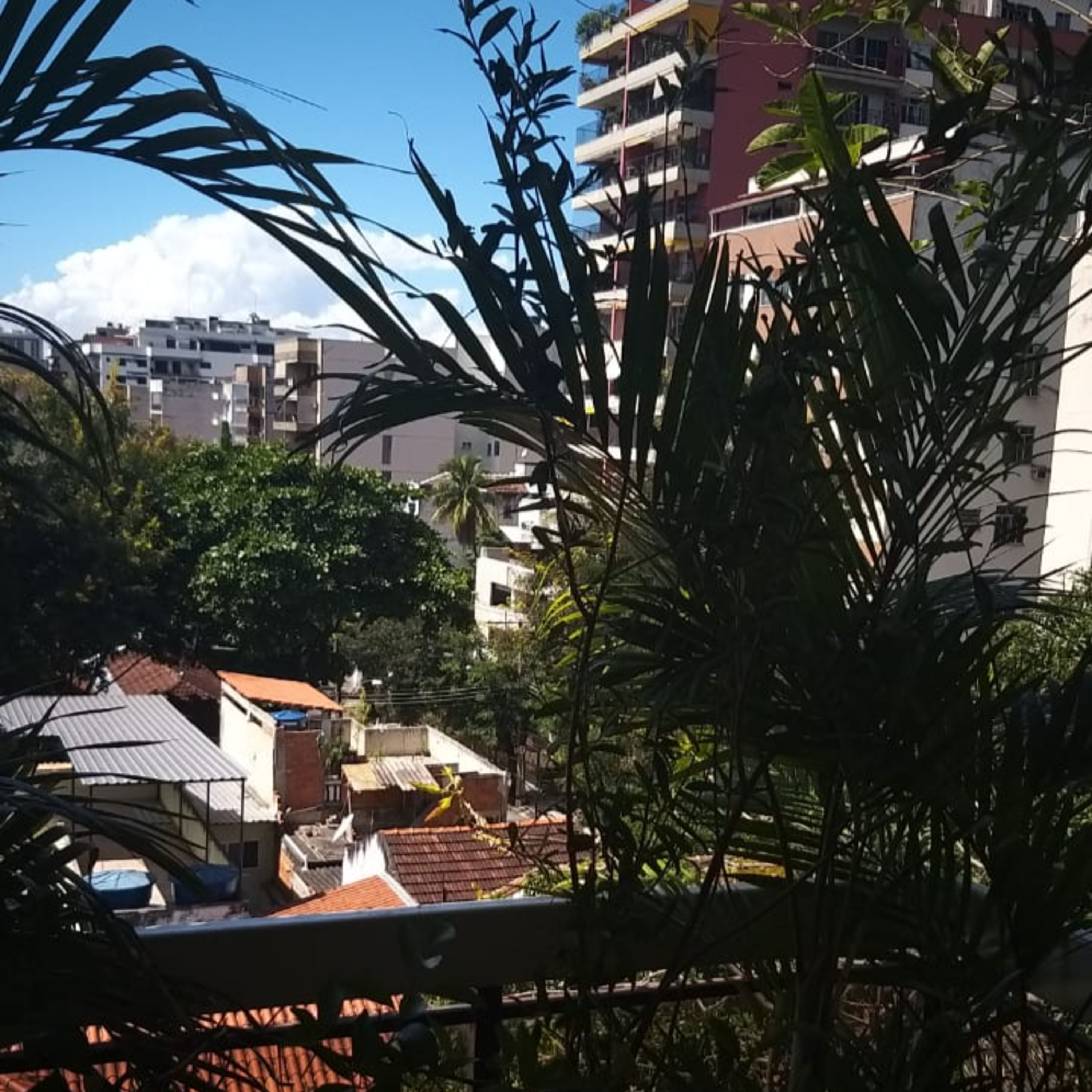 Vozes da Quarentena